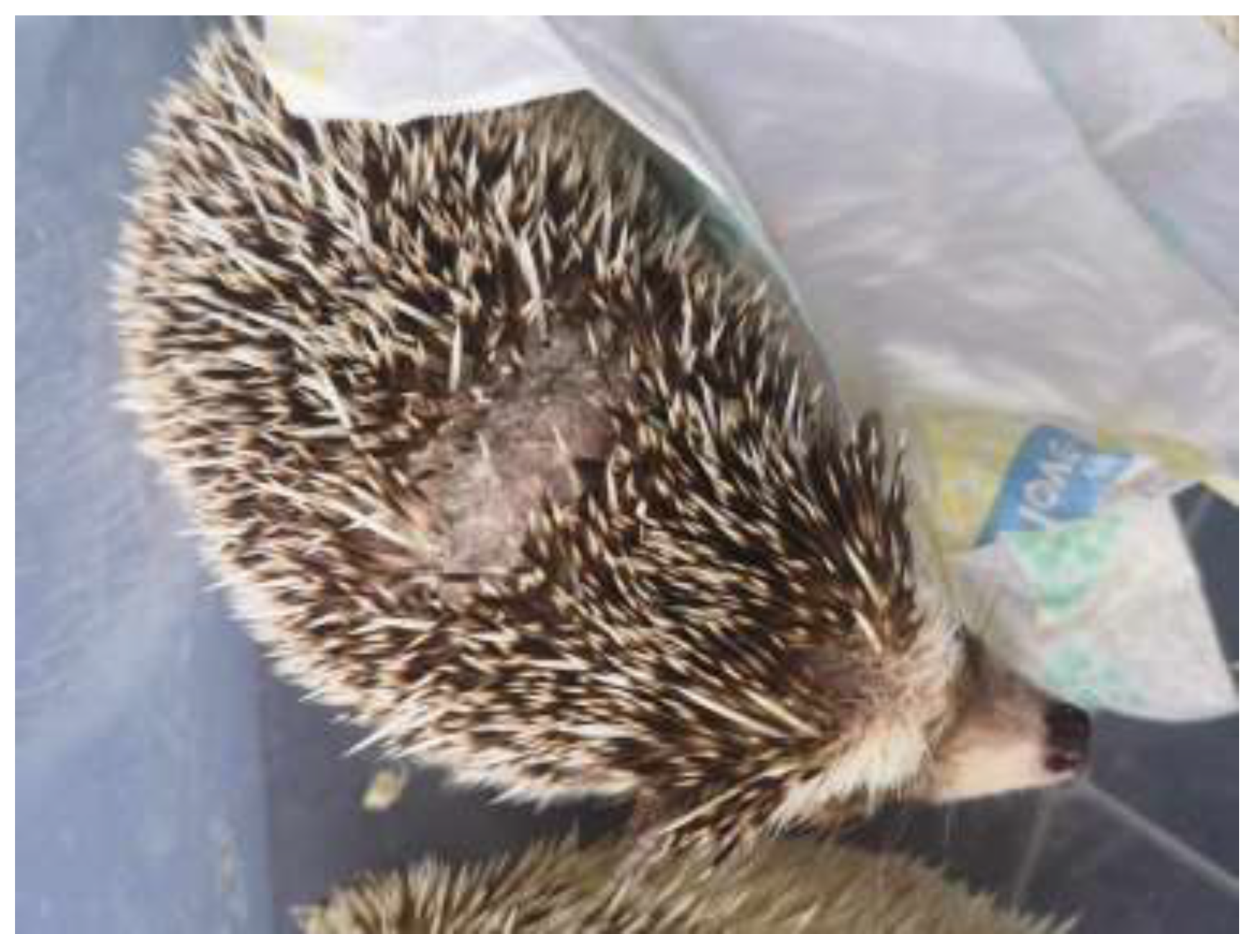 Jof 09 01132 g002 Jof 09 01132 g002