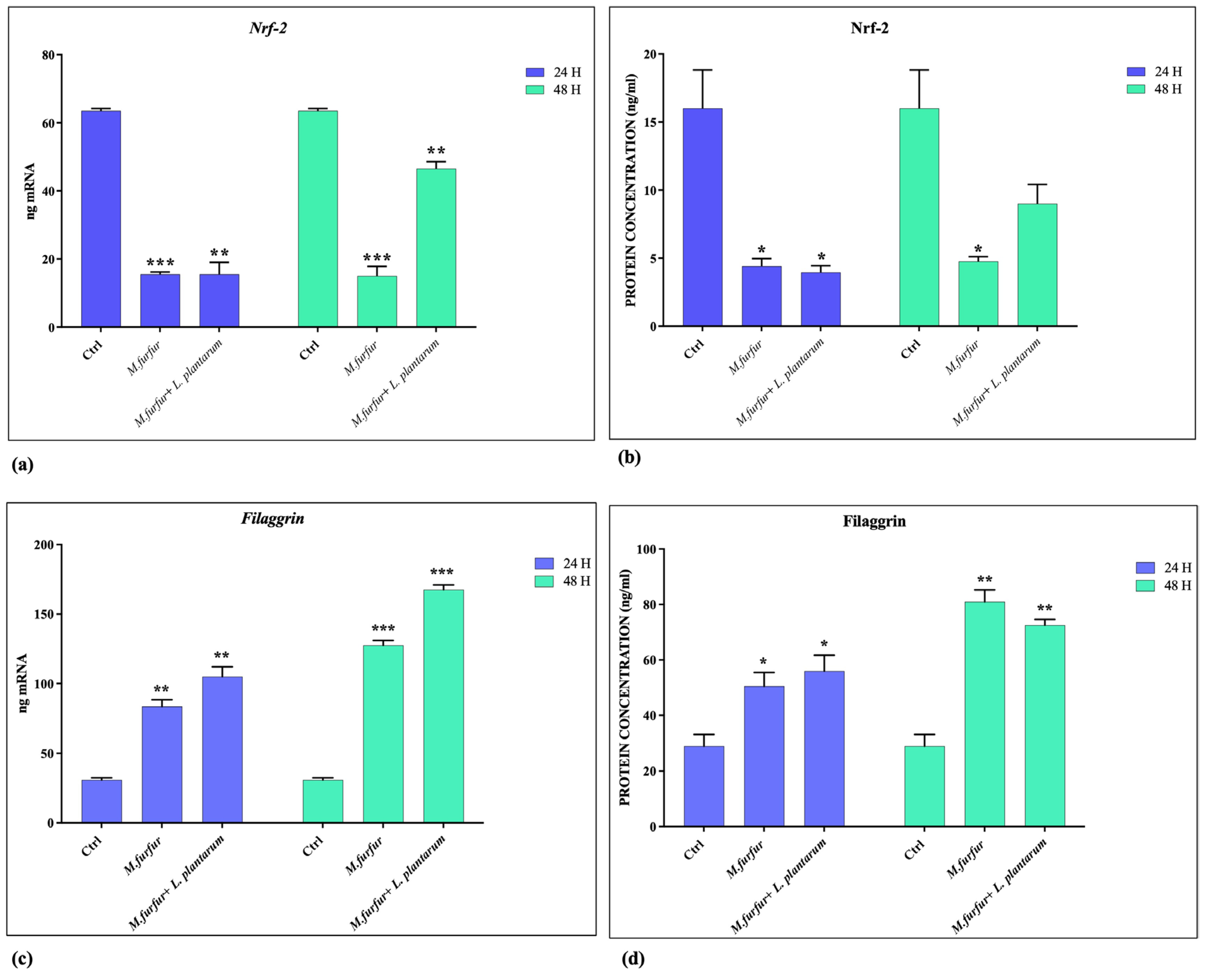 JoF | Free Full-Text | Regulatory Ability of Lactiplantibacillus ...