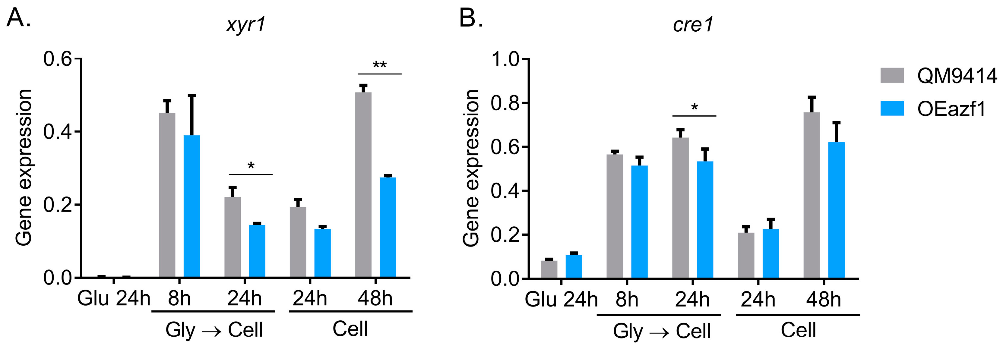 Jof 09 01173 g004 Jof 09 01173 g004