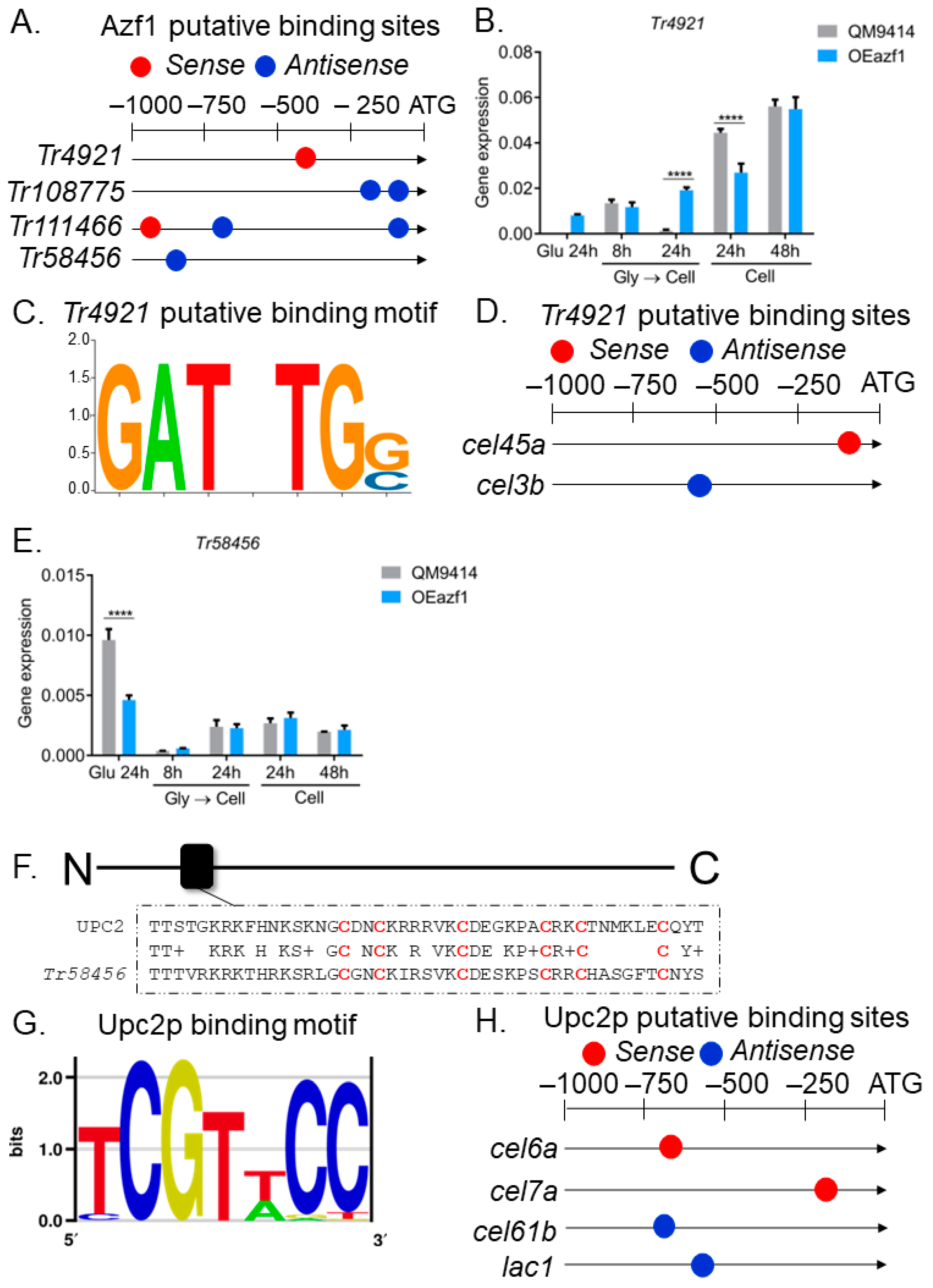 Jof 09 01173 g005 Jof 09 01173 g005