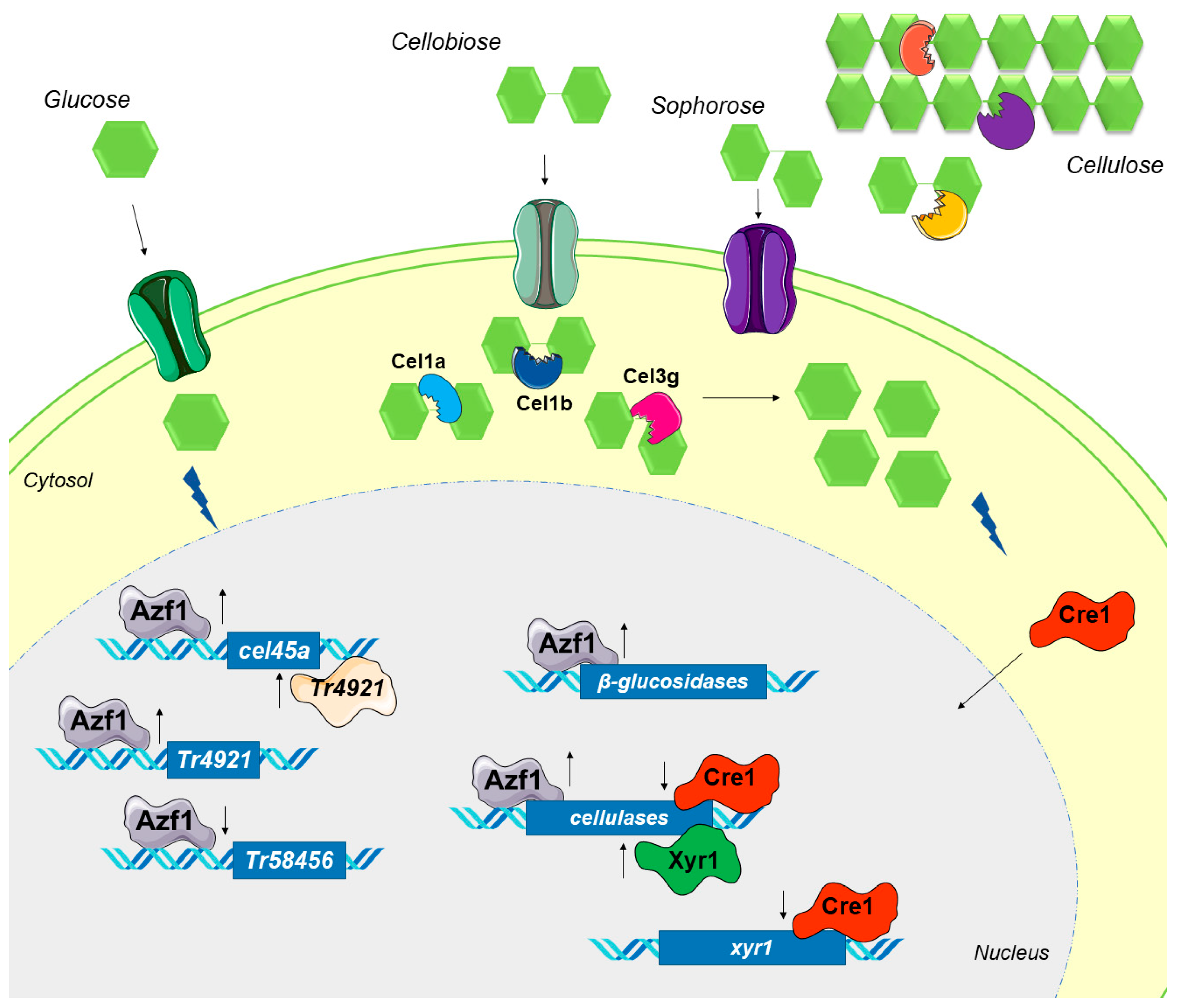 Jof 09 01173 g009 Jof 09 01173 g009