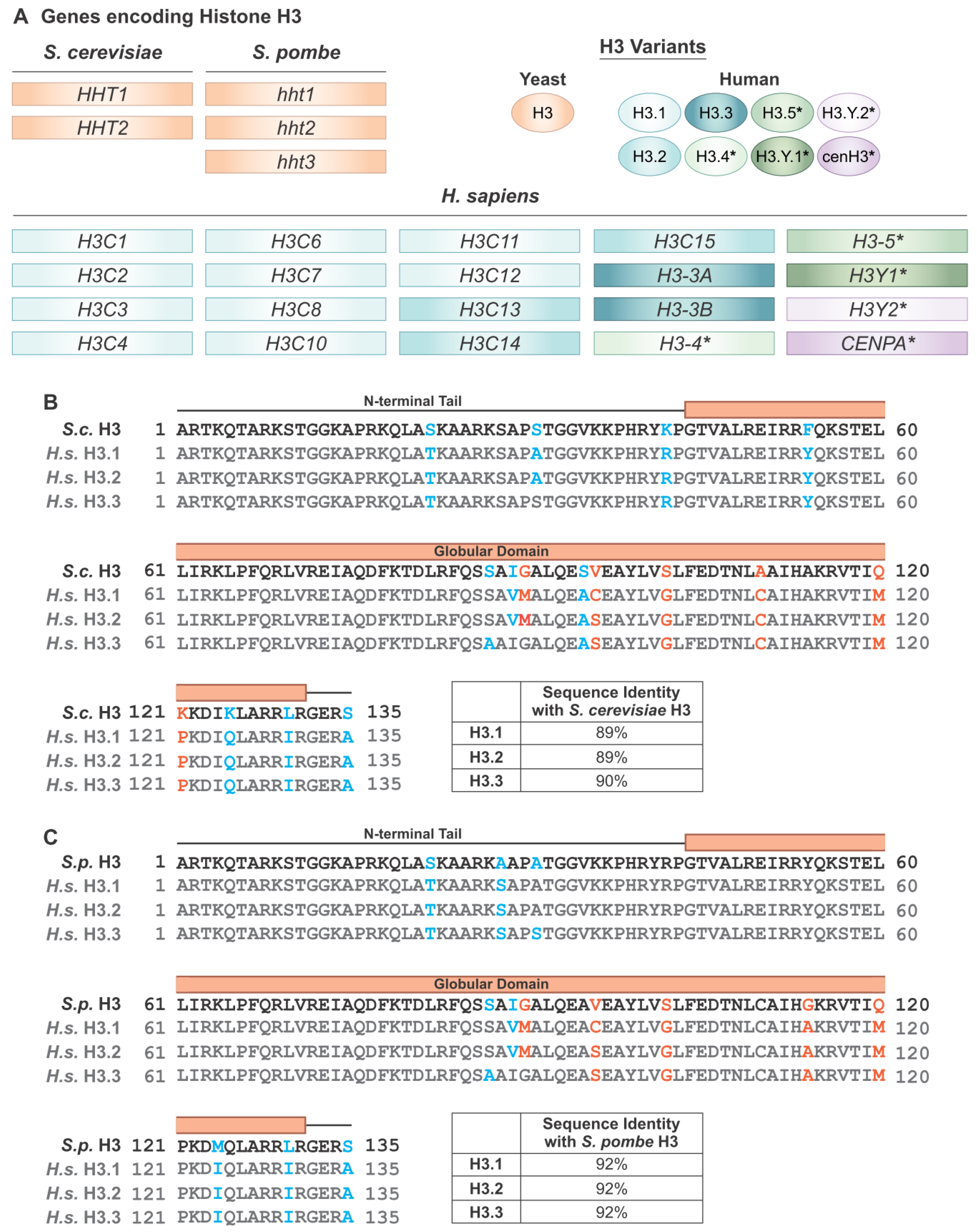 Jof 09 01187 g002 Jof 09 01187 g002