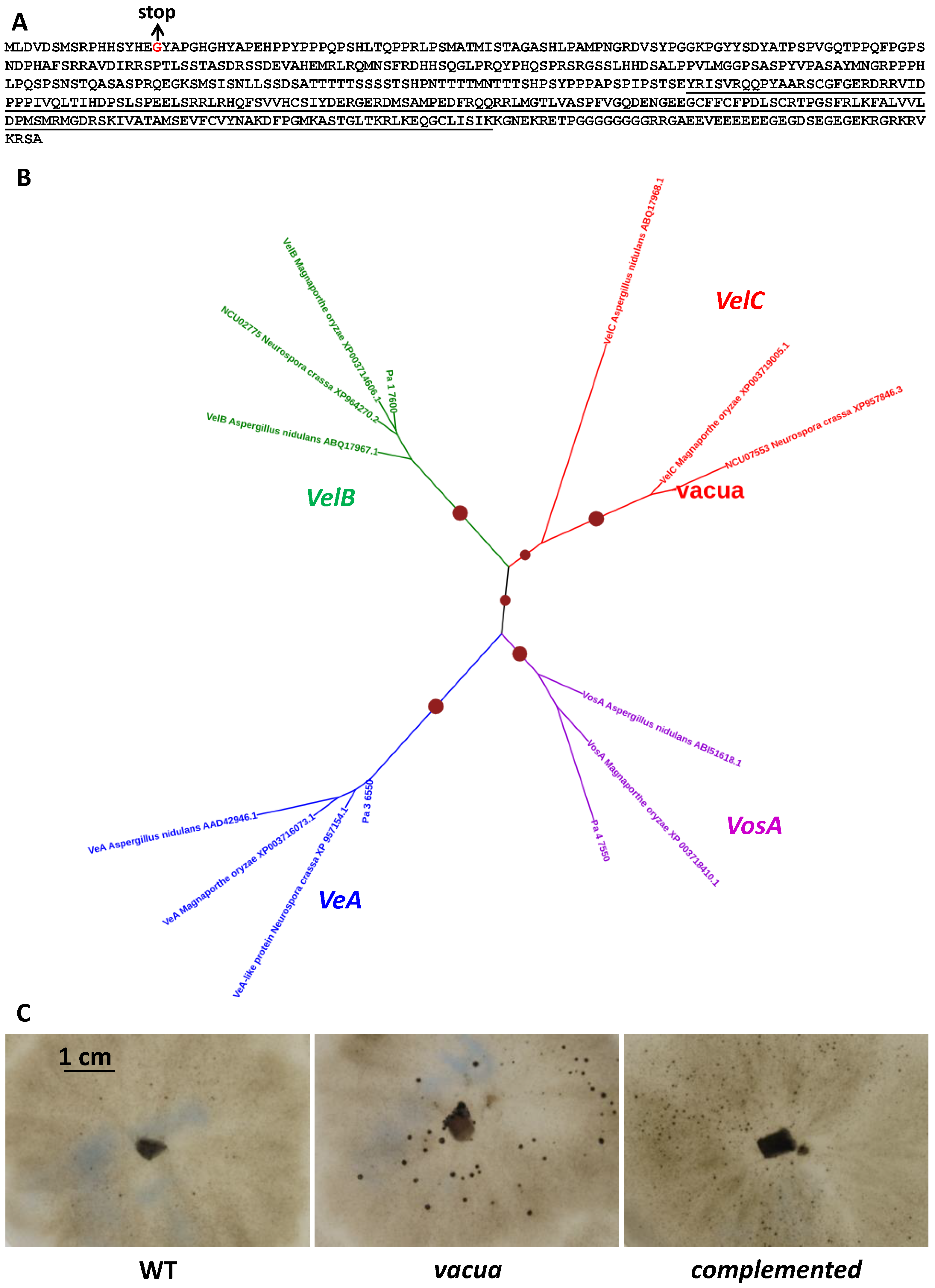 Jof 10 00079 g008 Jof 10 00079 g008