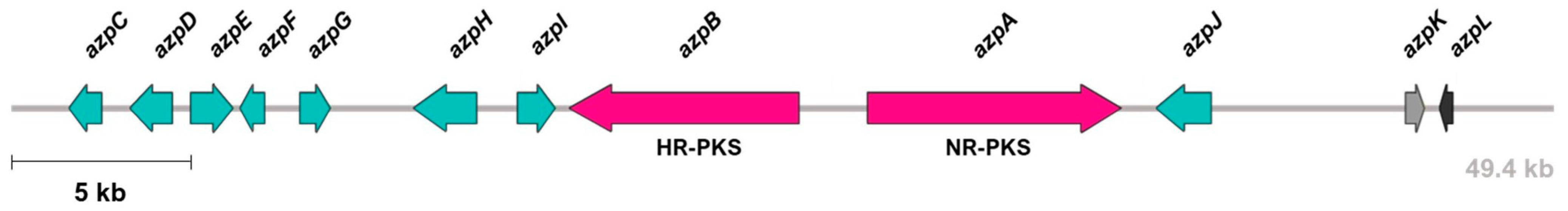 JoF | Free Full-Text | Expanding the Toolbox for Genetic