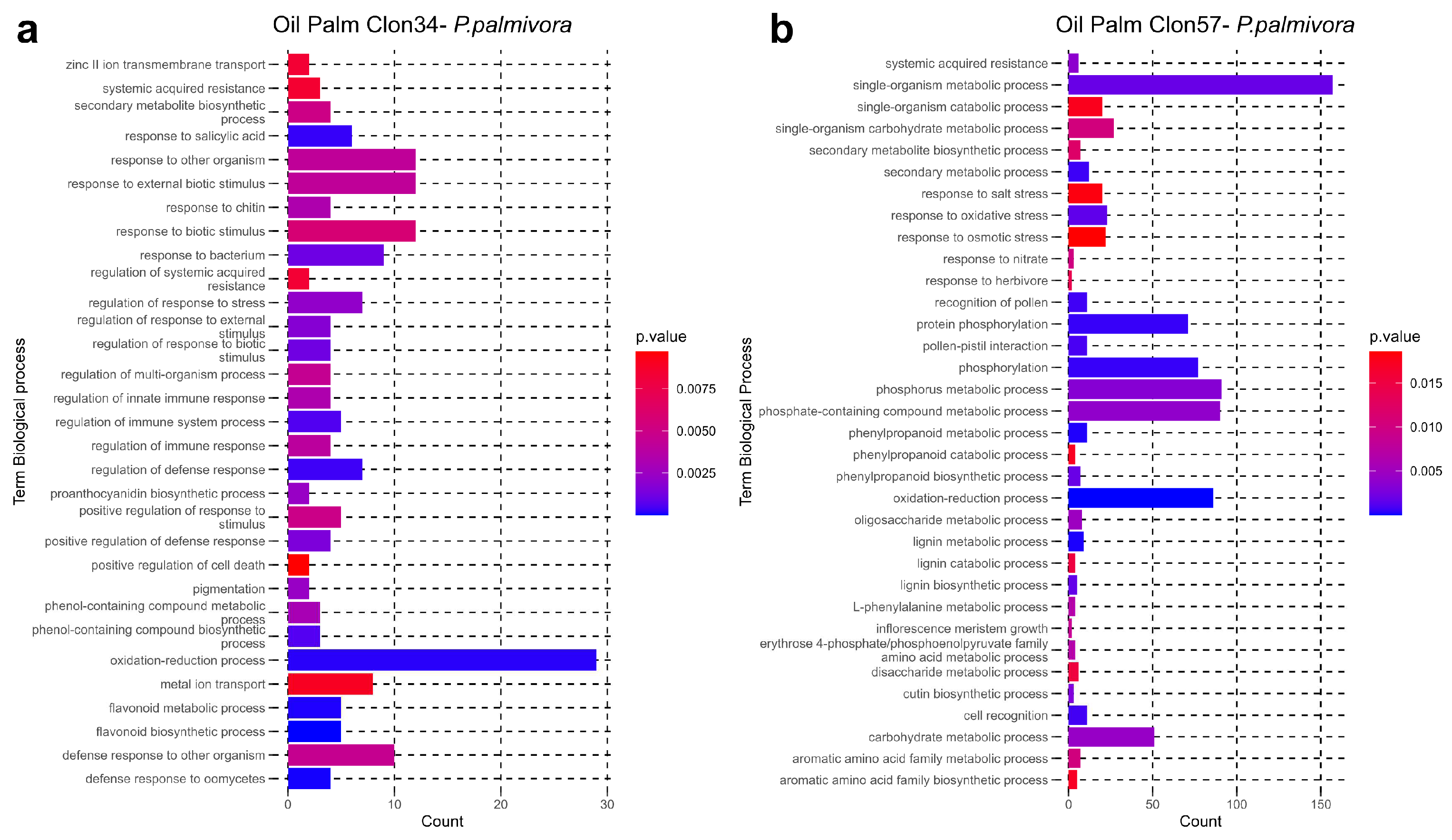 Jof 10 00164 g008 Jof 10 00164 g008