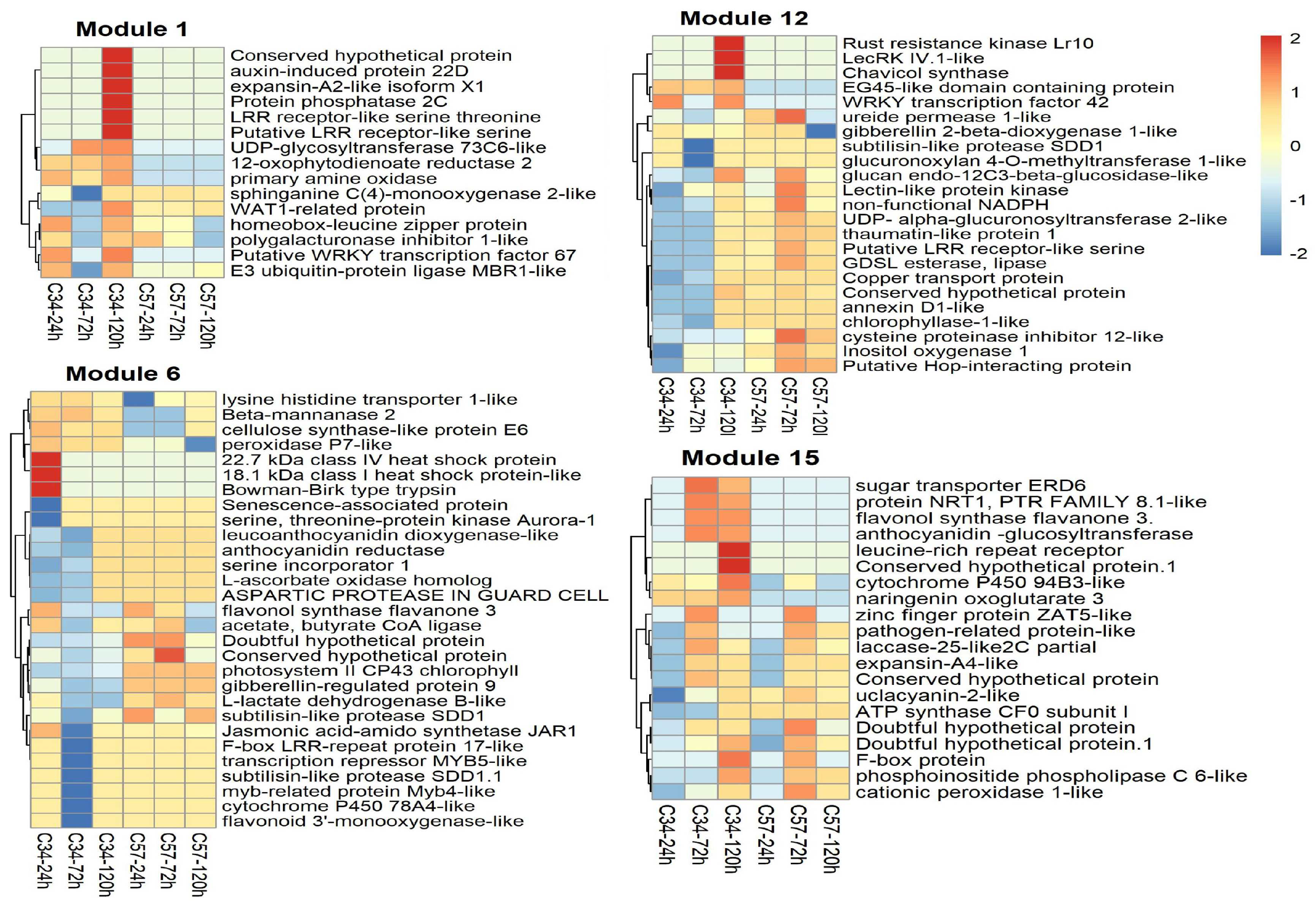 Jof 10 00164 g009 Jof 10 00164 g009