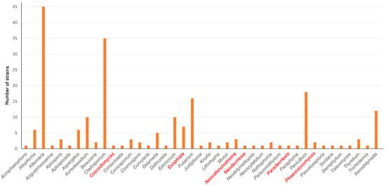 JoF | Free Full-Text | Diversity of Rock-Inhabiting Fungi in 