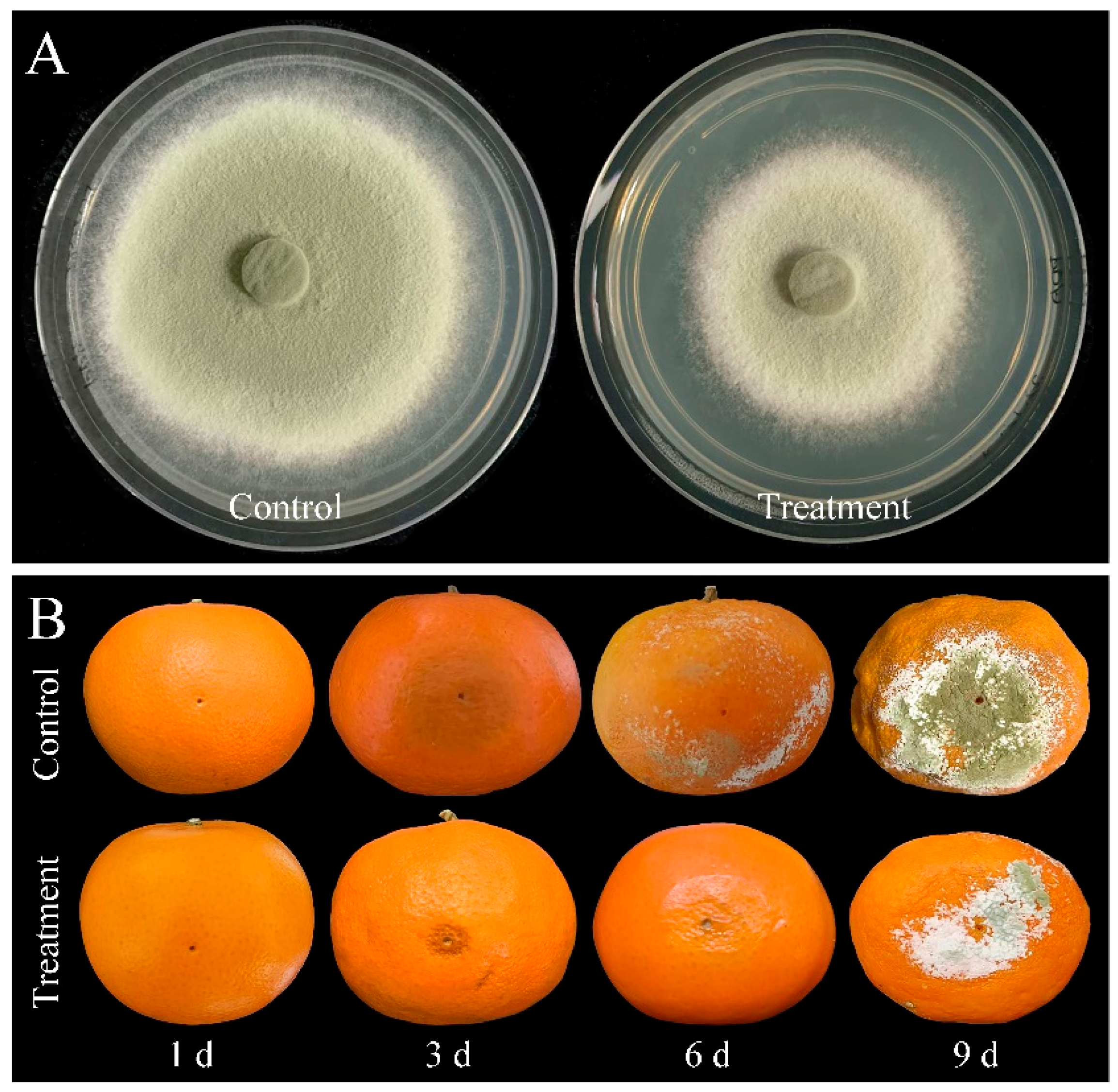 Jof 10 00249 g003 Jof 10 00249 g003