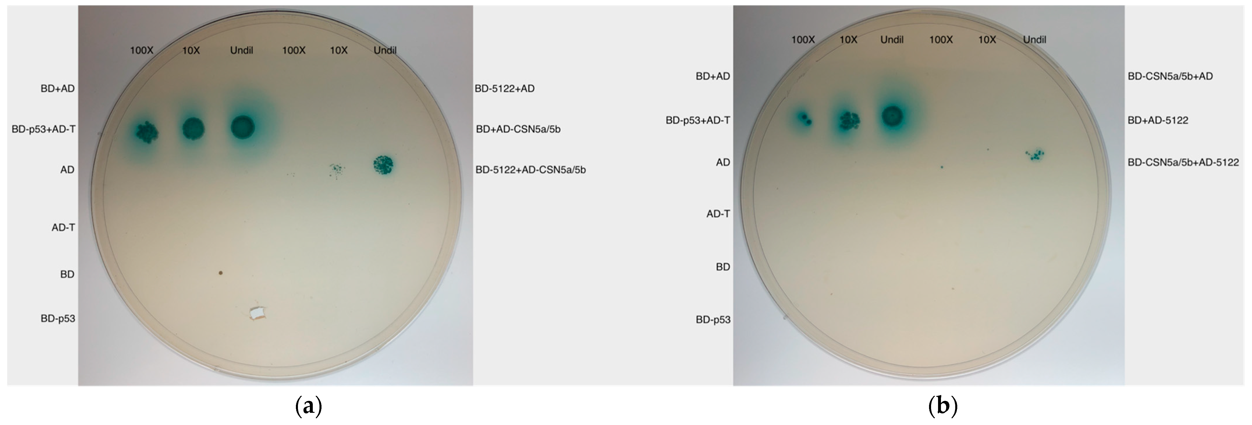 Jof 10 00262 g002 Jof 10 00262 g002