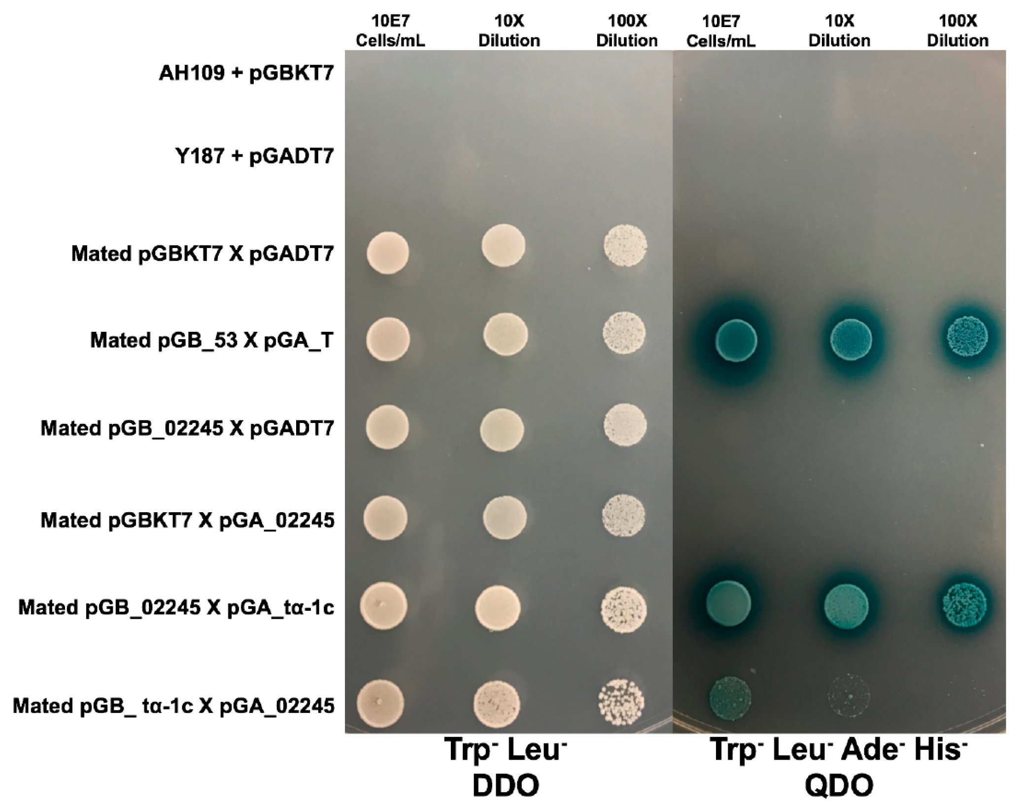 Jof 10 00262 g003 Jof 10 00262 g003