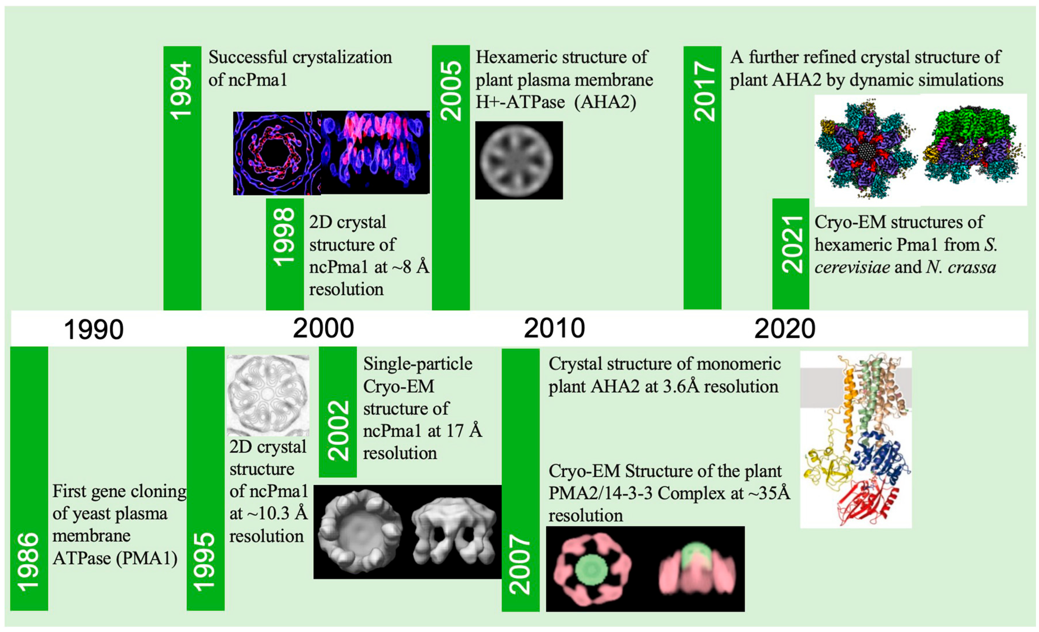 Jof 10 00273 g002 Jof 10 00273 g002