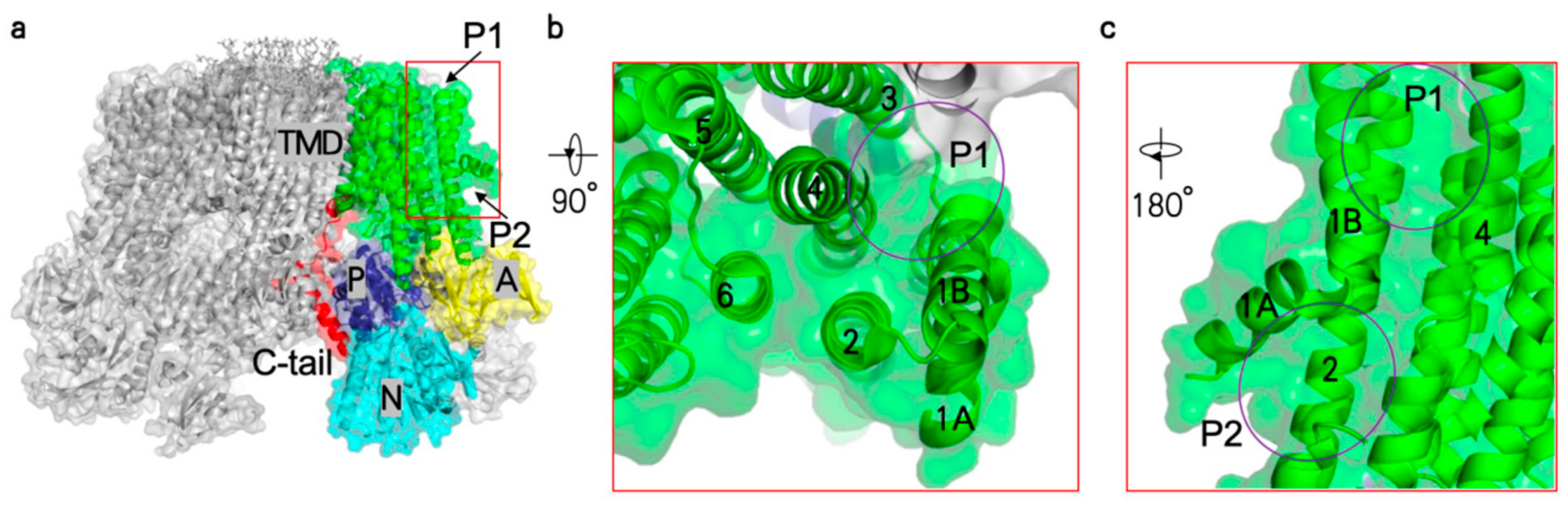 Jof 10 00273 g007 Jof 10 00273 g007