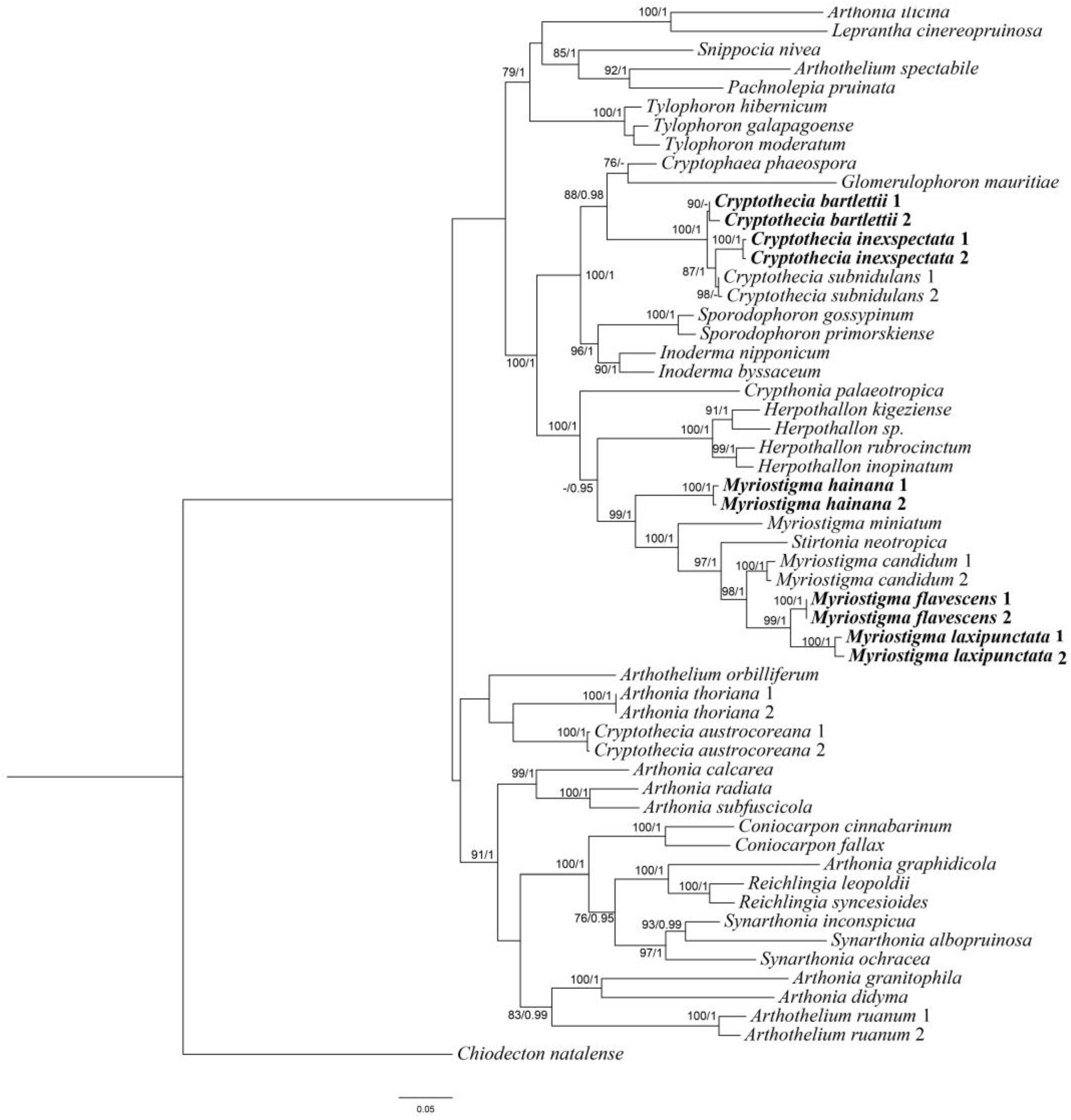 Jof 10 00274 g001 Jof 10 00274 g001