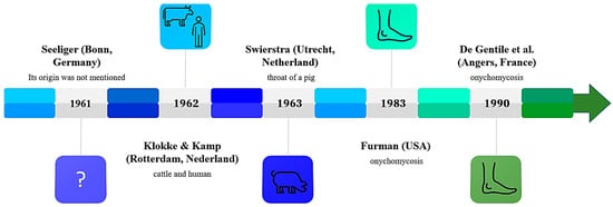 Stephanoascus ciferrii Complex The Current State of Infections  