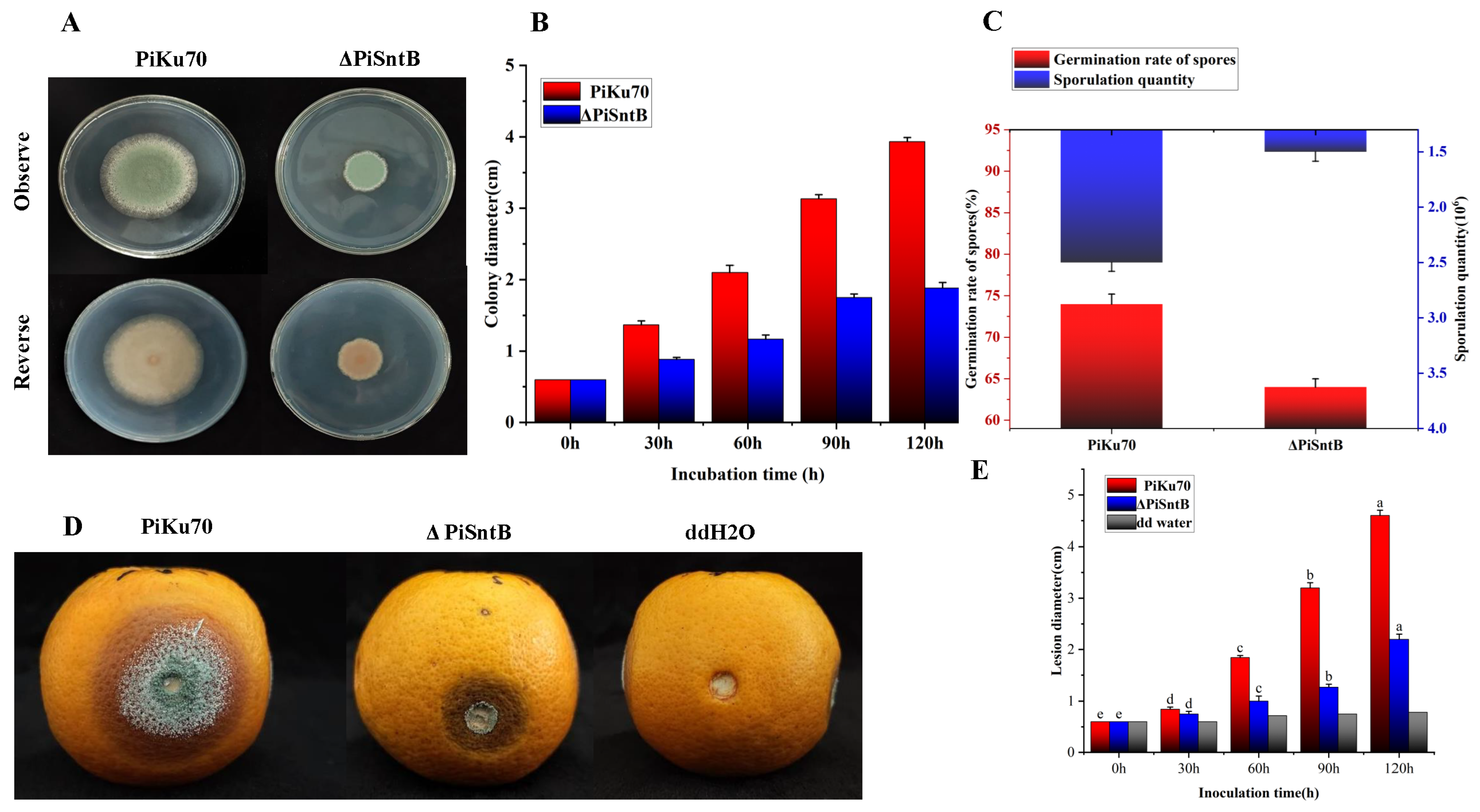 Jof 10 00368 g001 Jof 10 00368 g001