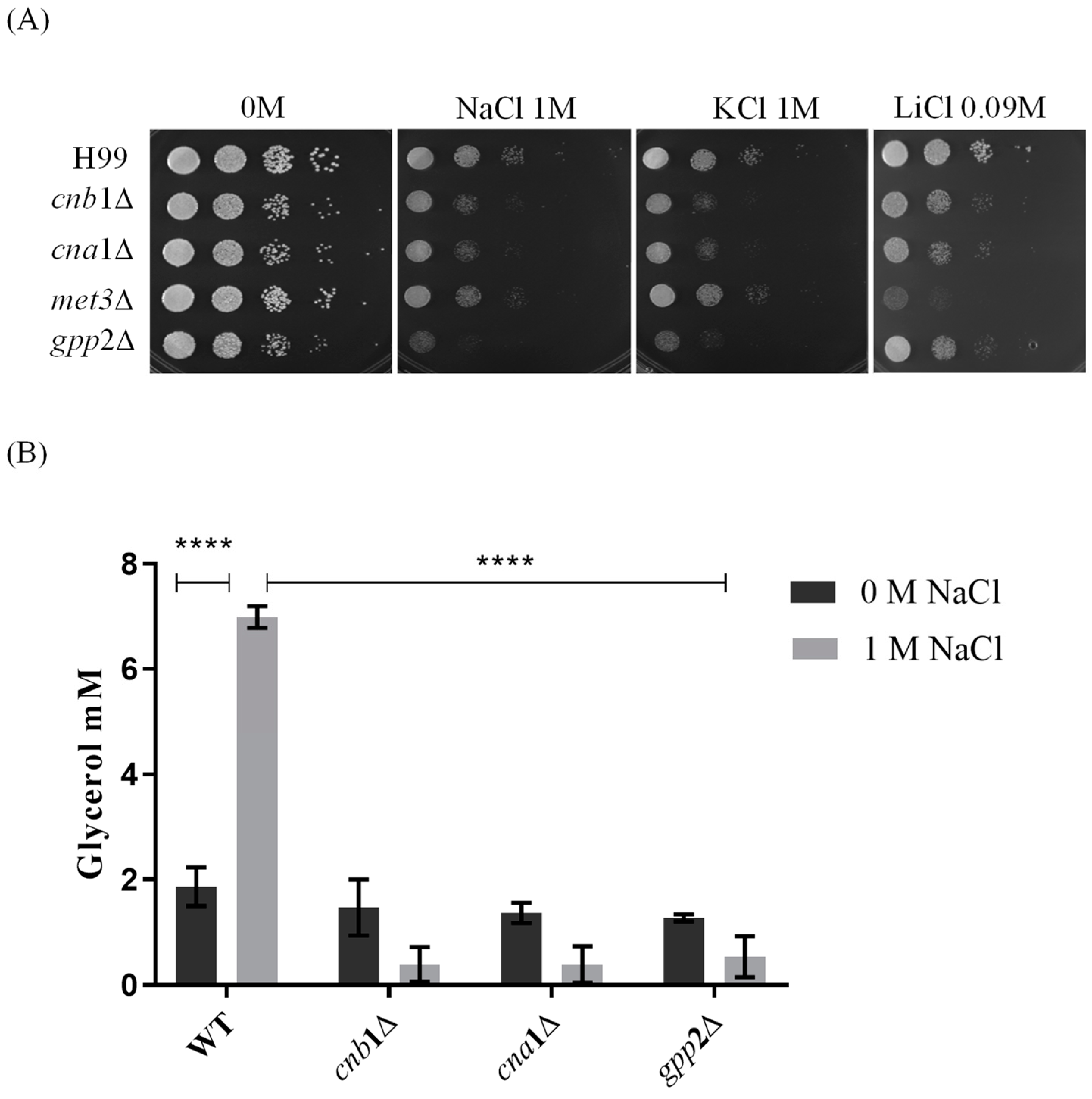 Jof 10 00531 g001 Jof 10 00531 g001