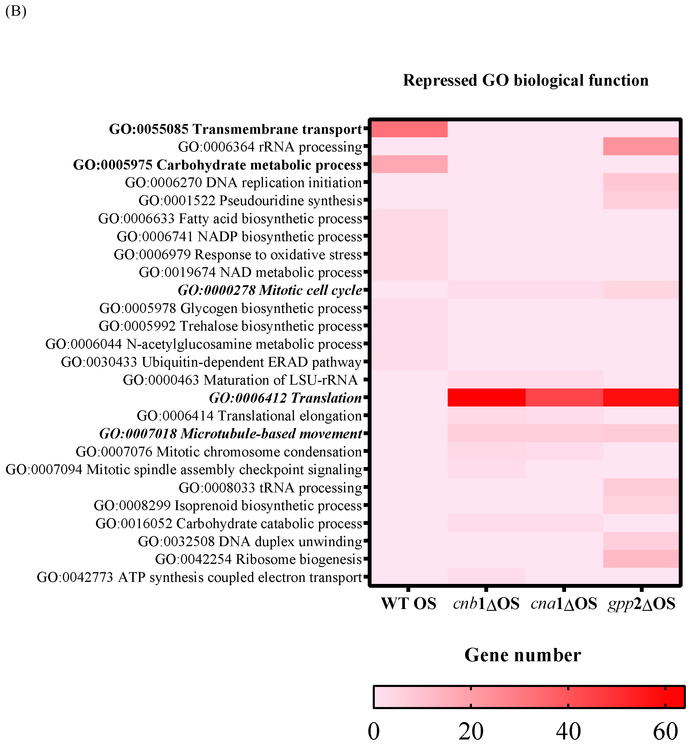 Jof 10 00531 g004b Jof 10 00531 g004b