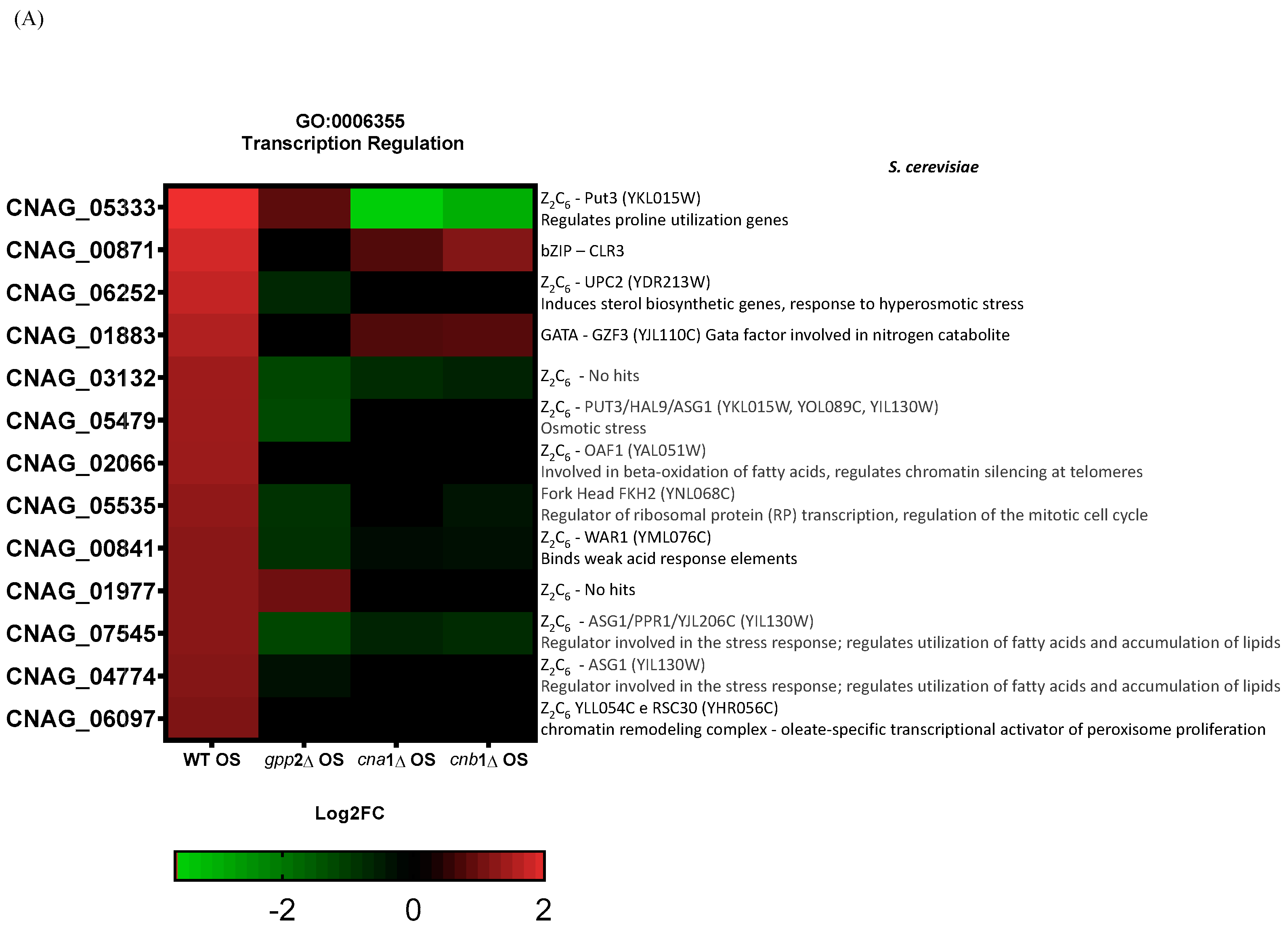 Jof 10 00531 g008a Jof 10 00531 g008a