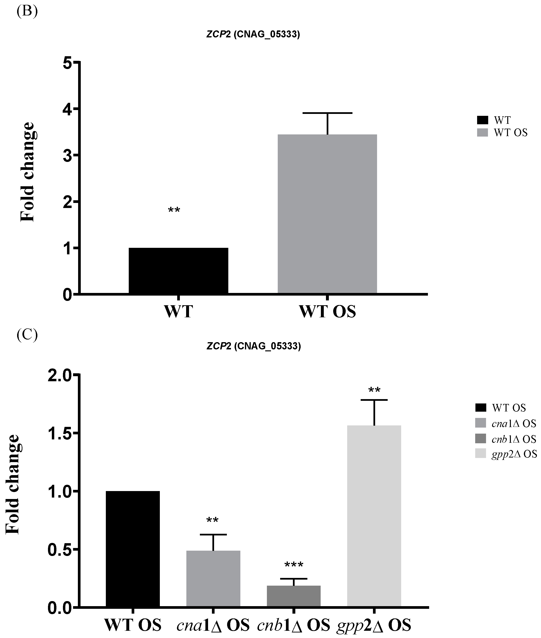 Jof 10 00531 g008b Jof 10 00531 g008b