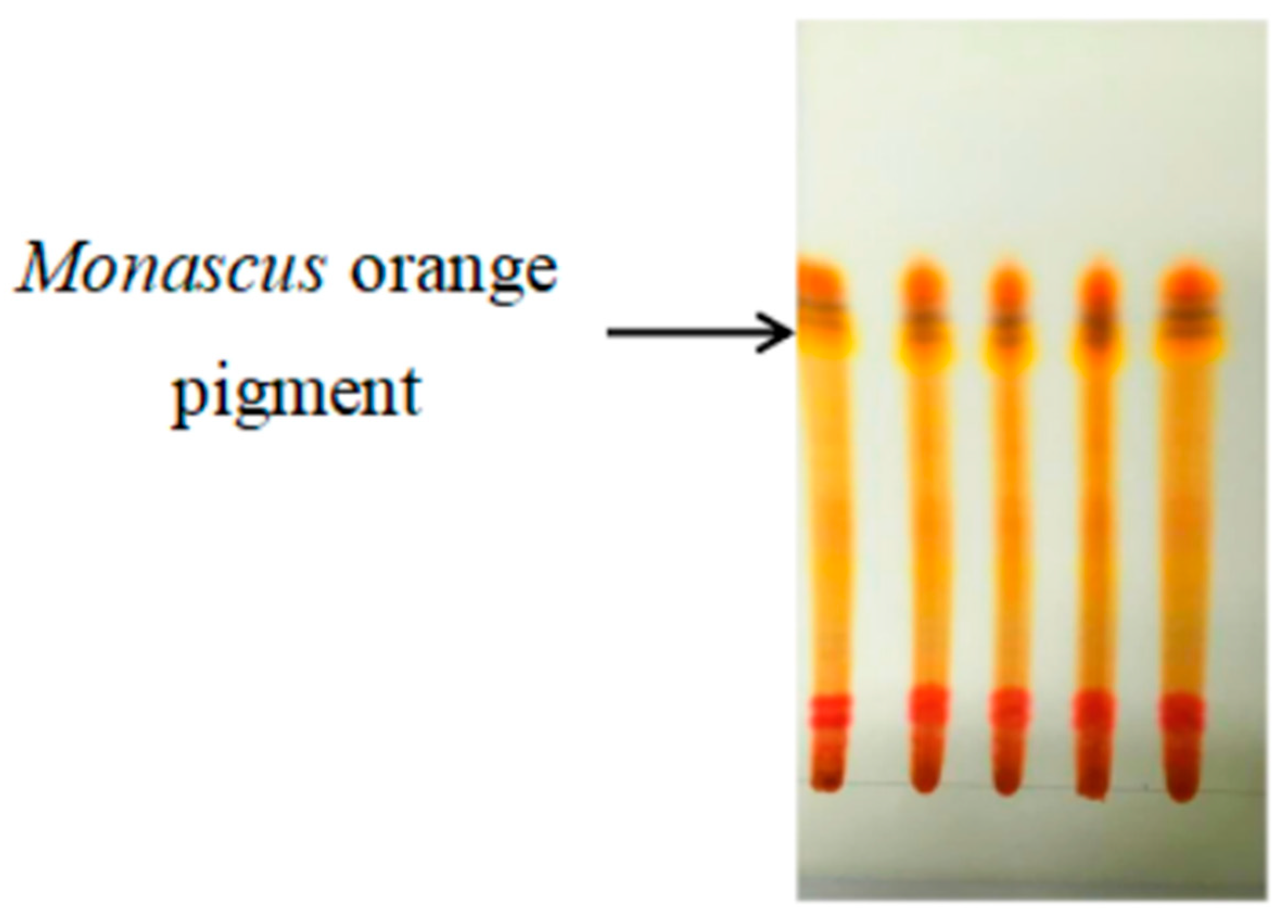 Jof 10 00553 g005 Jof 10 00553 g005