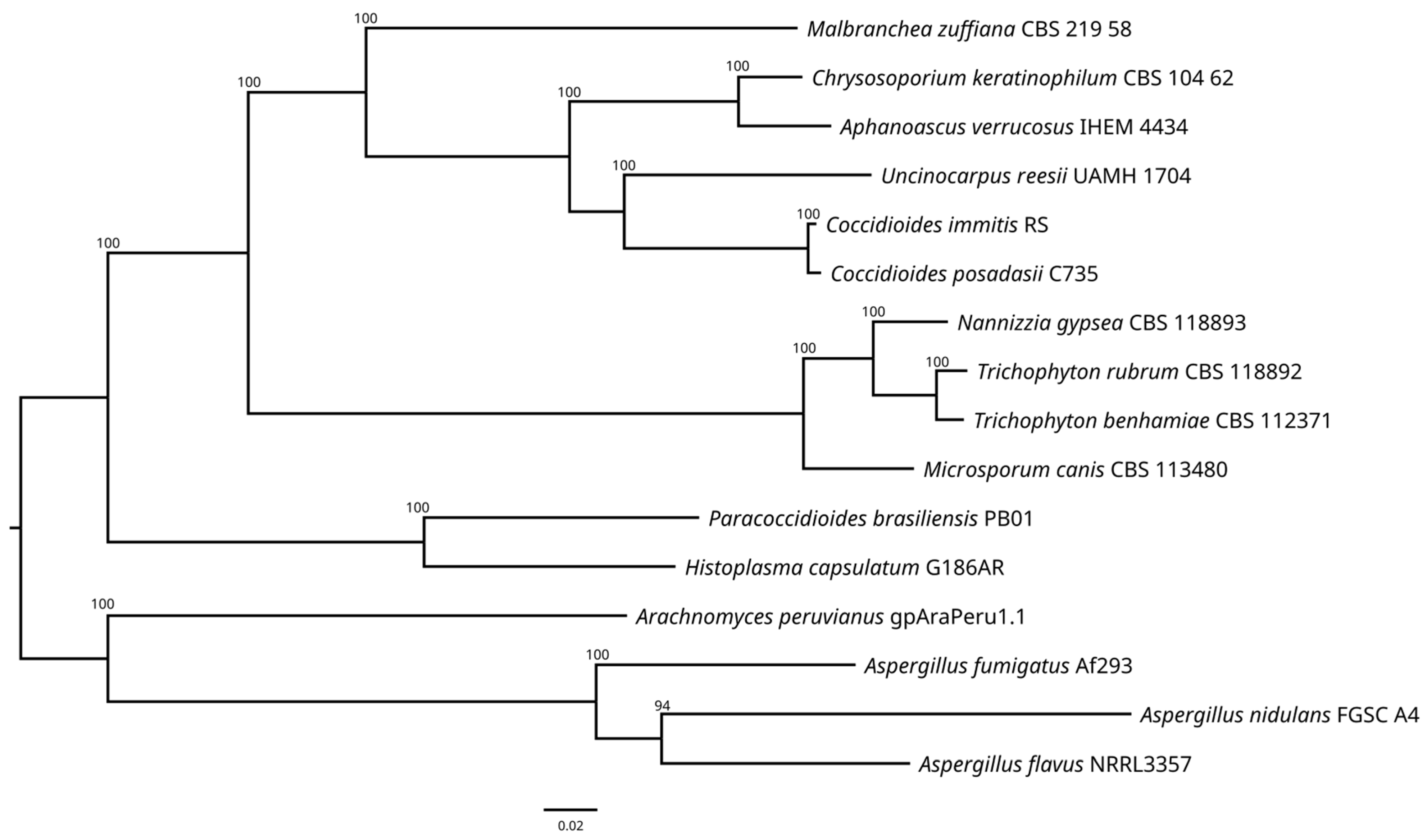 Jof 10 00600 g004 Jof 10 00600 g004