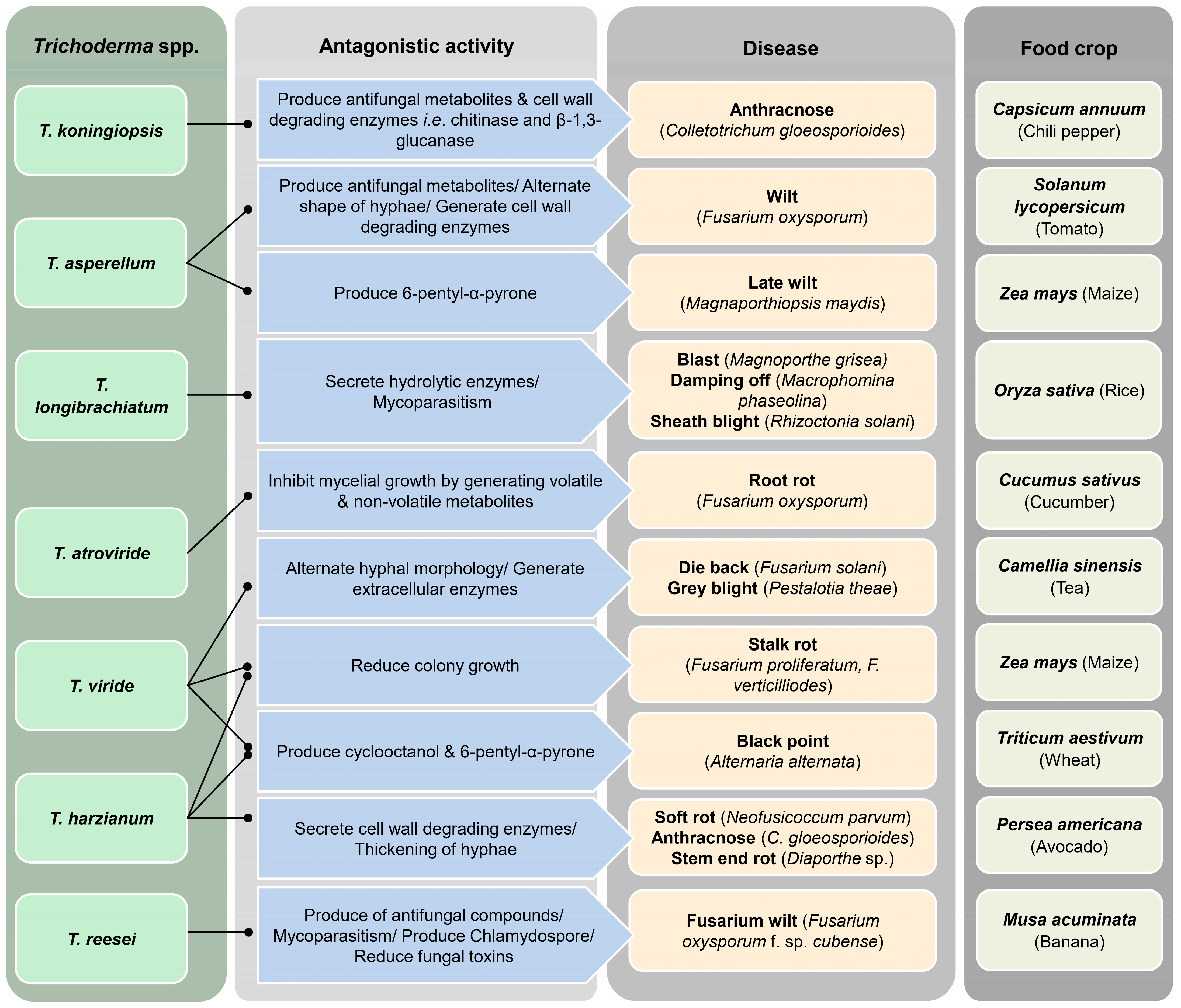 Jof 10 00606 g001 Jof 10 00606 g001