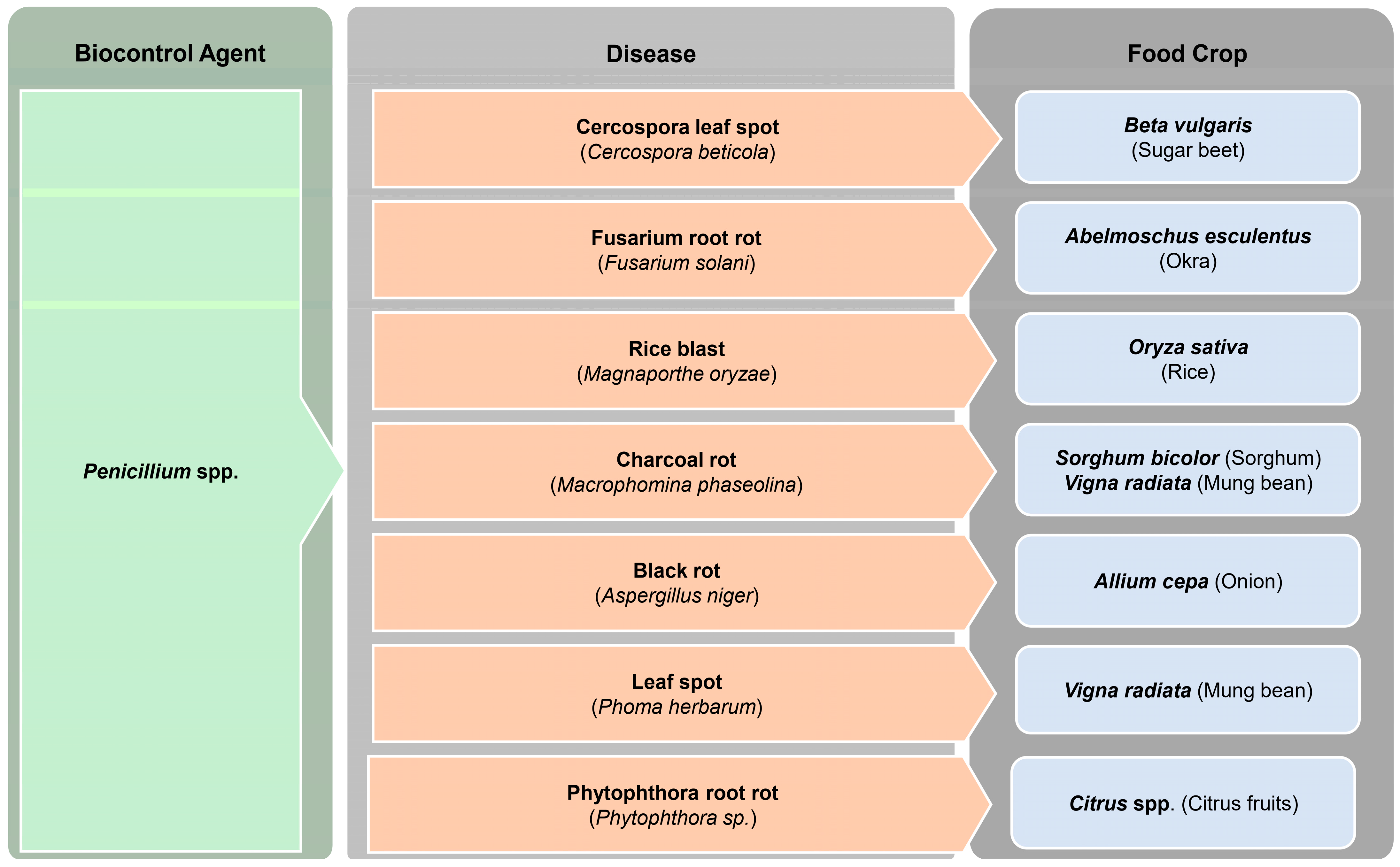 Jof 10 00606 g002 Jof 10 00606 g002