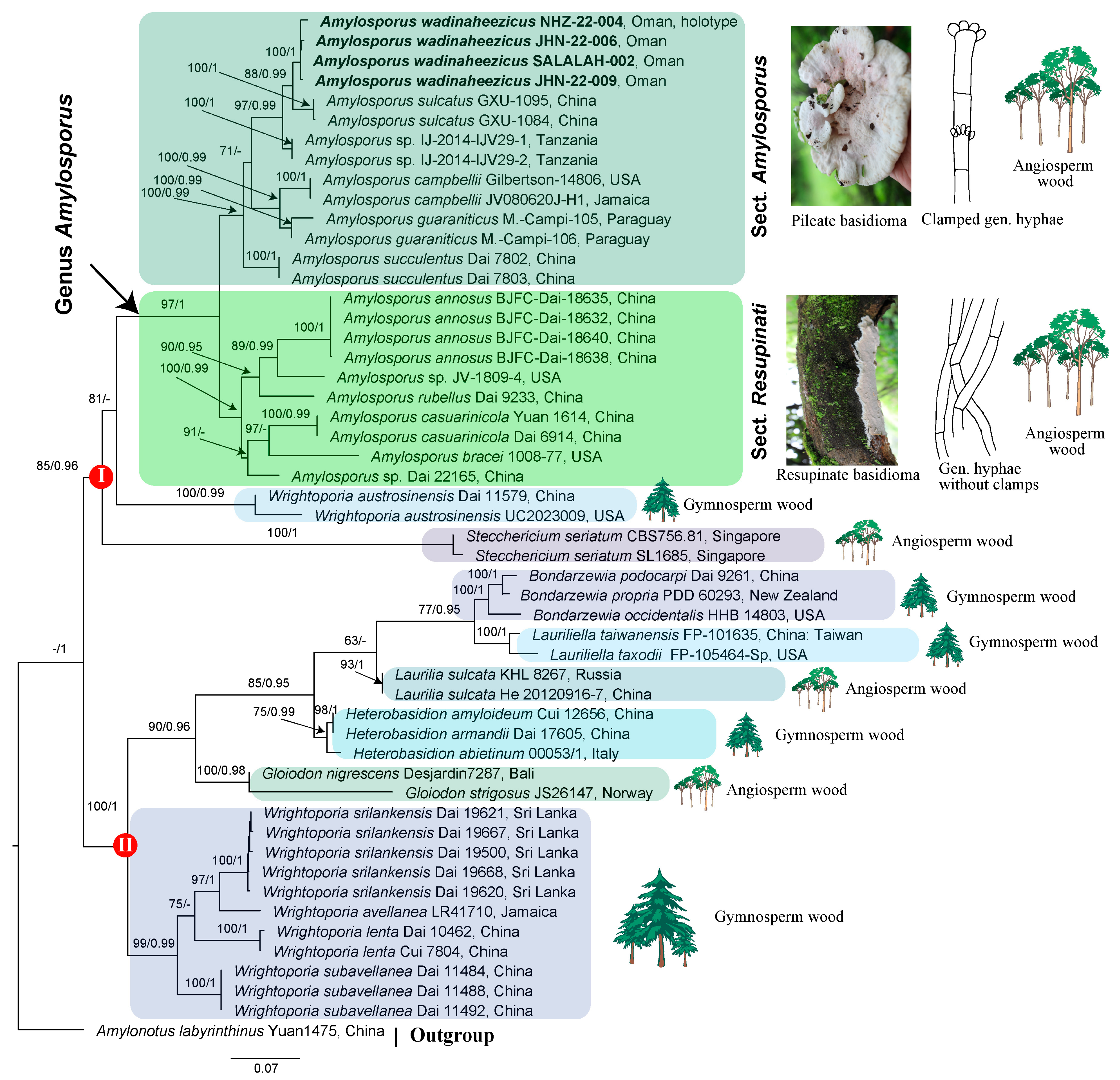 Jof 10 00625 g002 Jof 10 00625 g002