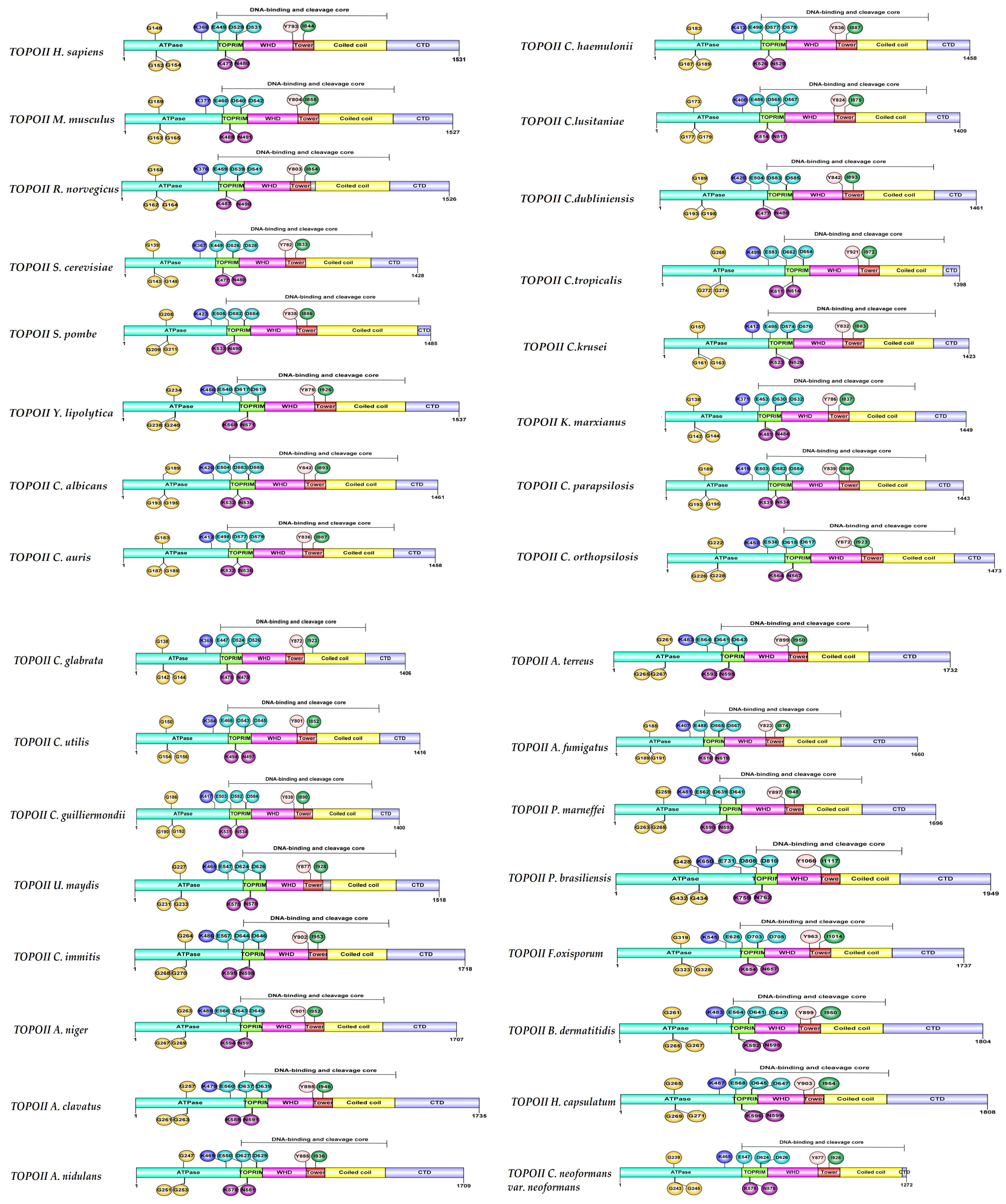 Jof 10 00629 g003 Jof 10 00629 g003