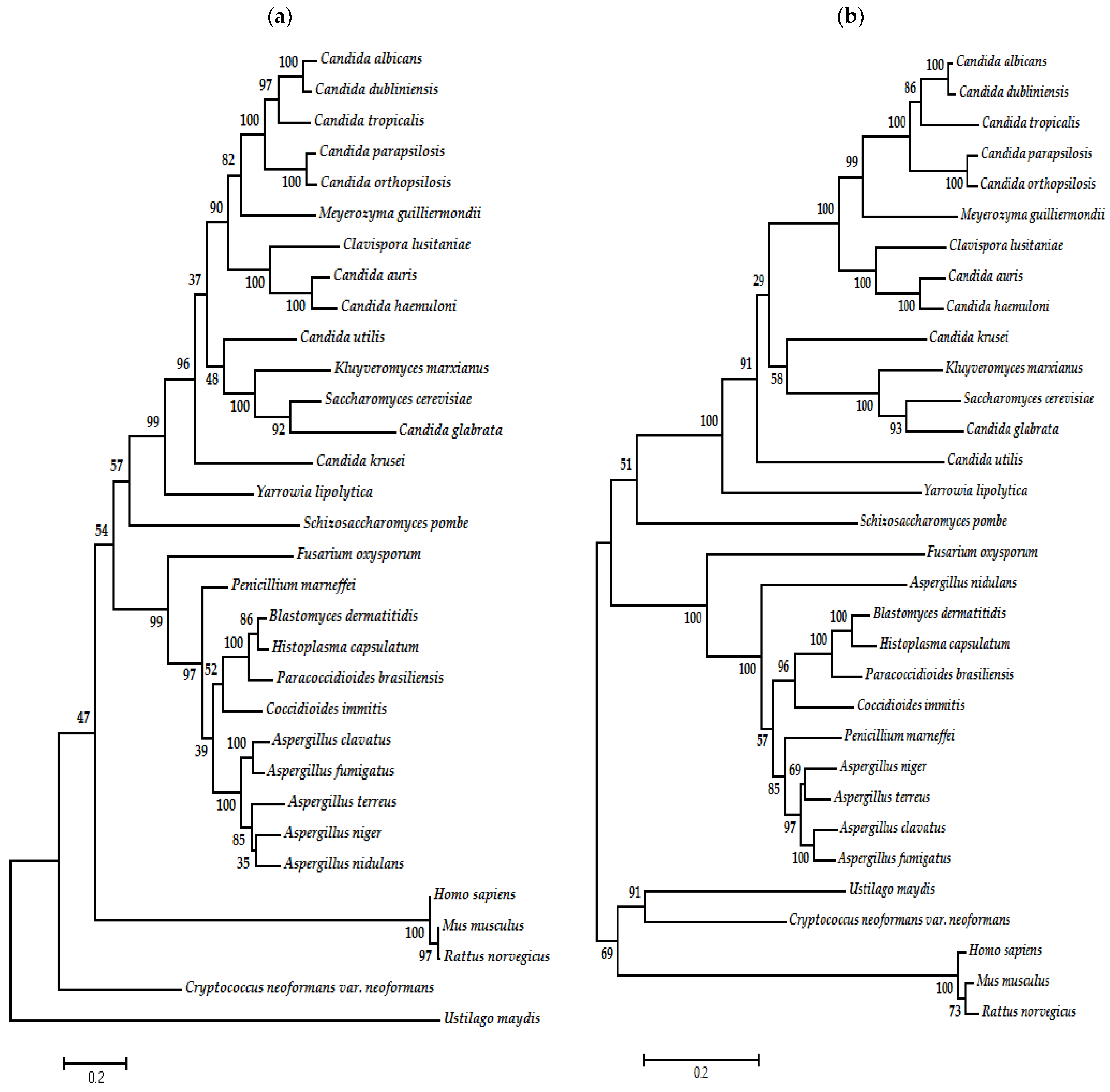 Jof 10 00629 g004 Jof 10 00629 g004