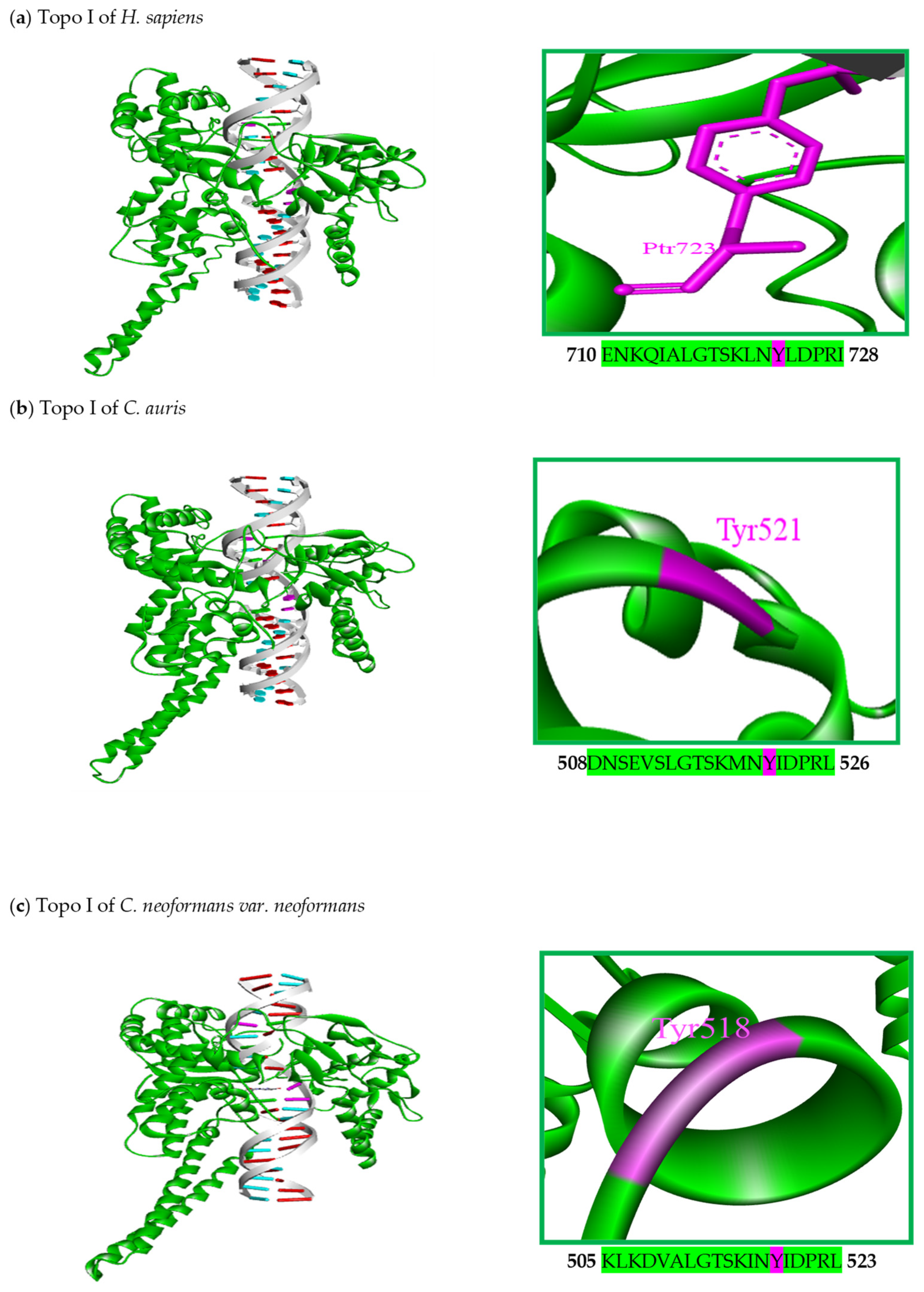 Jof 10 00629 g005a Jof 10 00629 g005a