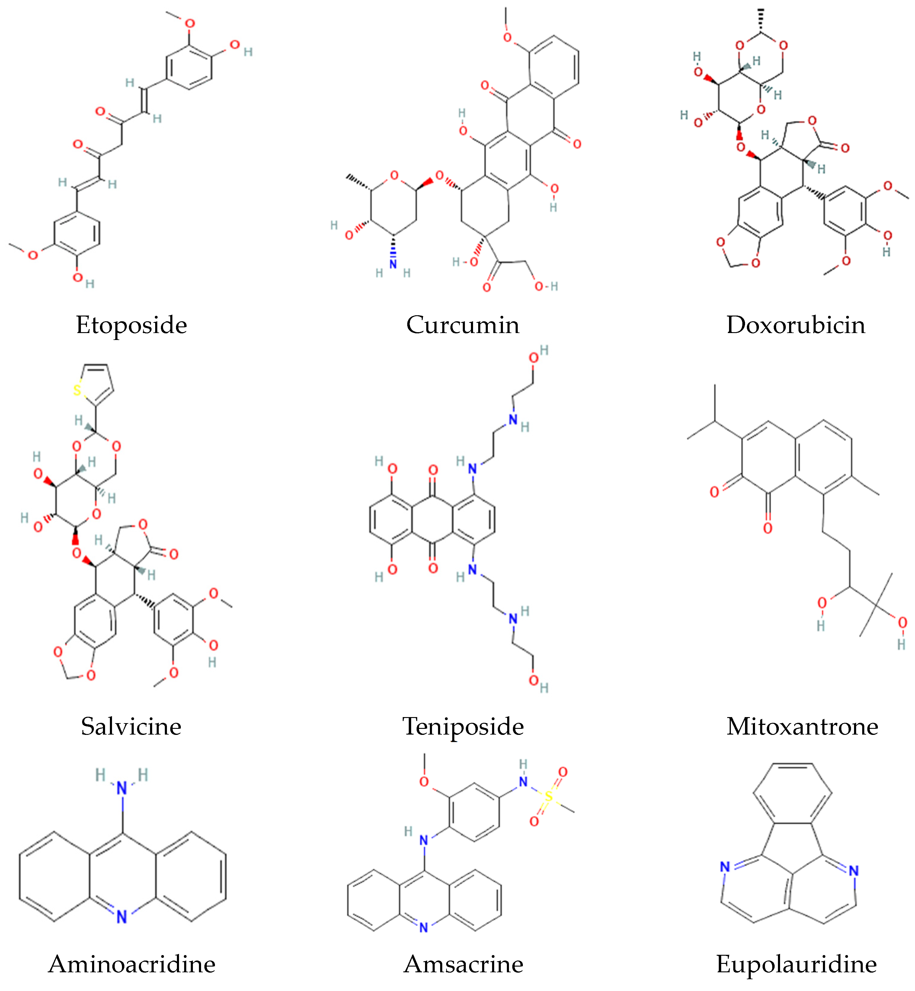 Jof 10 00629 g007 Jof 10 00629 g007