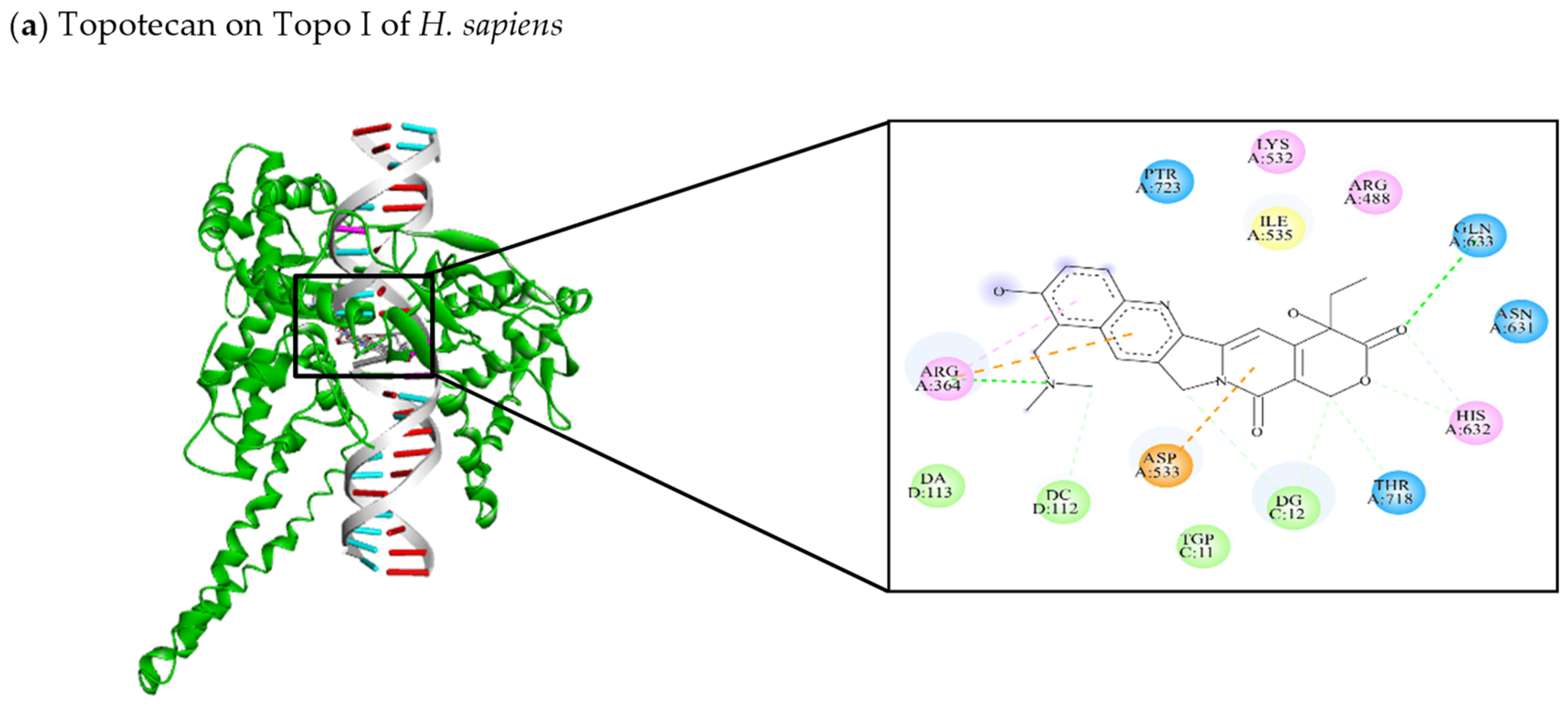 Jof 10 00629 g008a Jof 10 00629 g008a