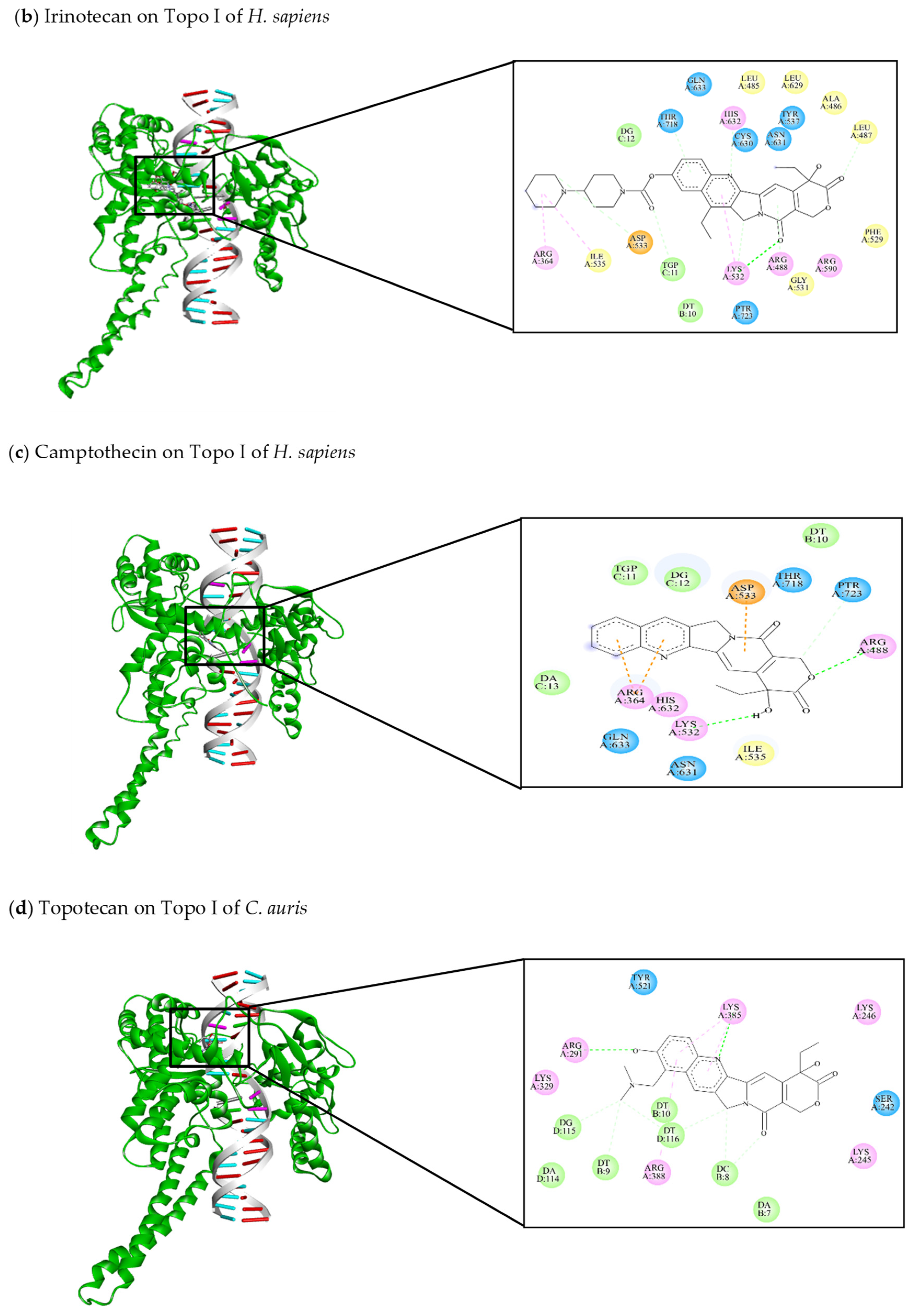 Jof 10 00629 g008b Jof 10 00629 g008b