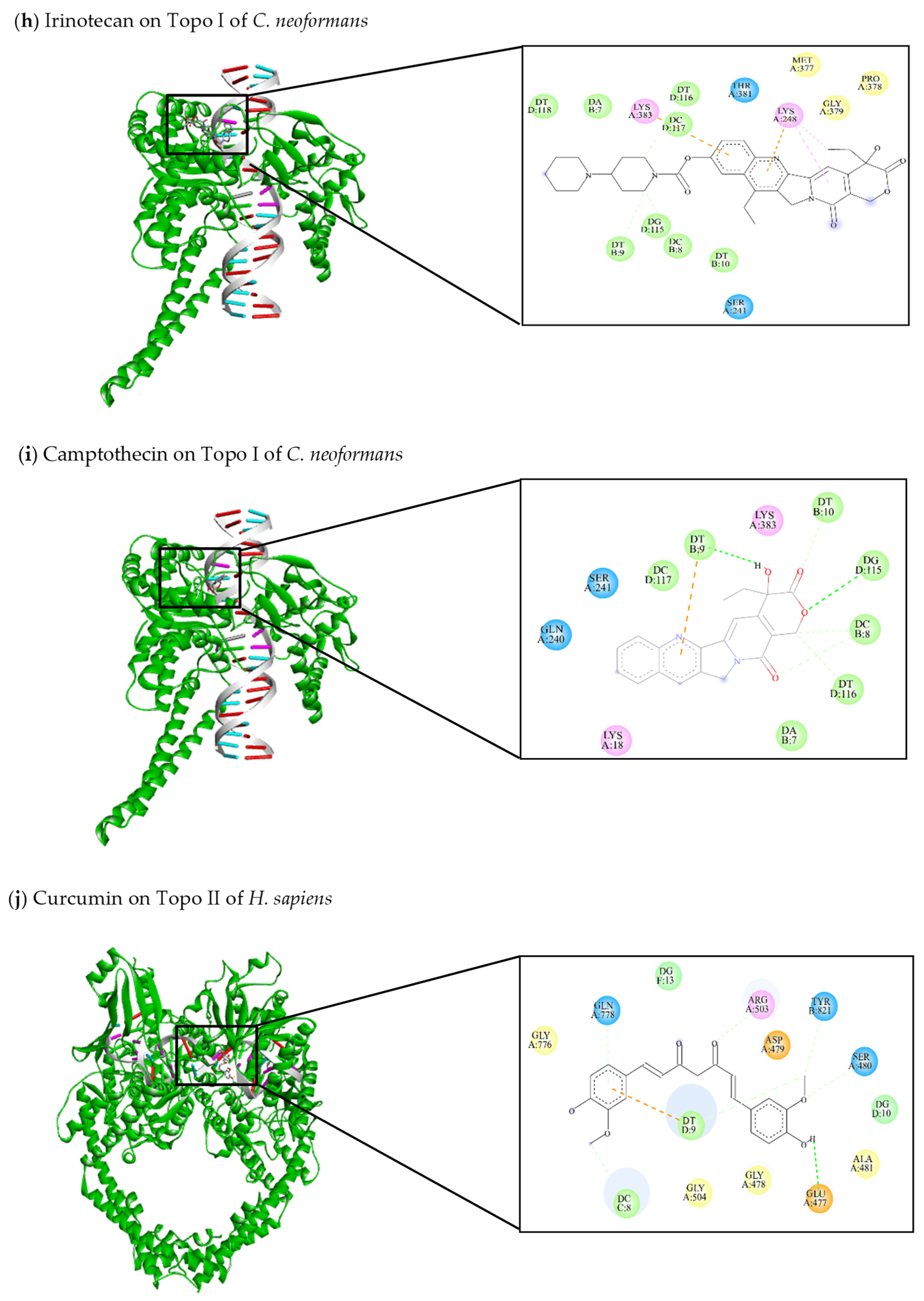 Jof 10 00629 g008d Jof 10 00629 g008d