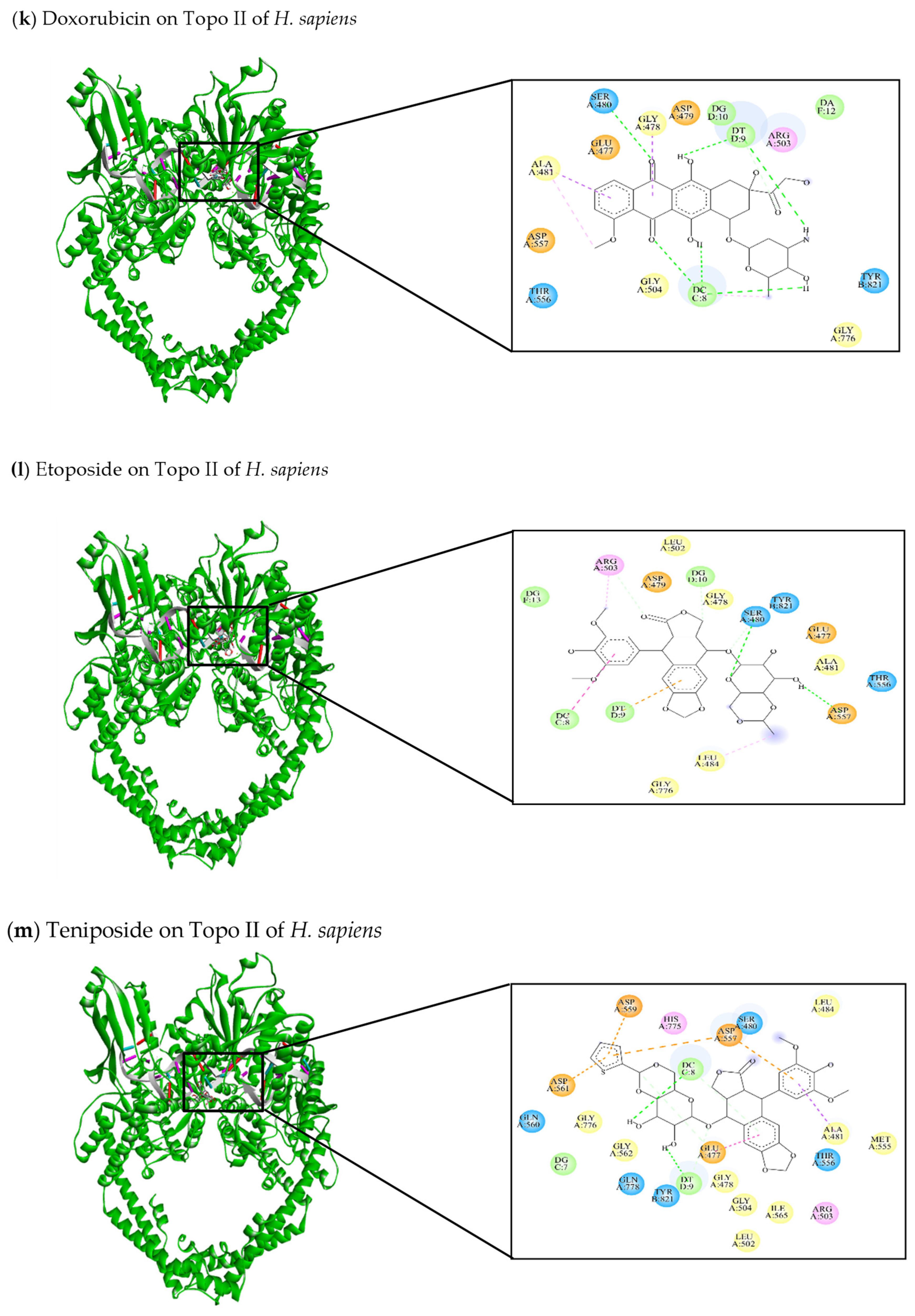 Jof 10 00629 g008e Jof 10 00629 g008e