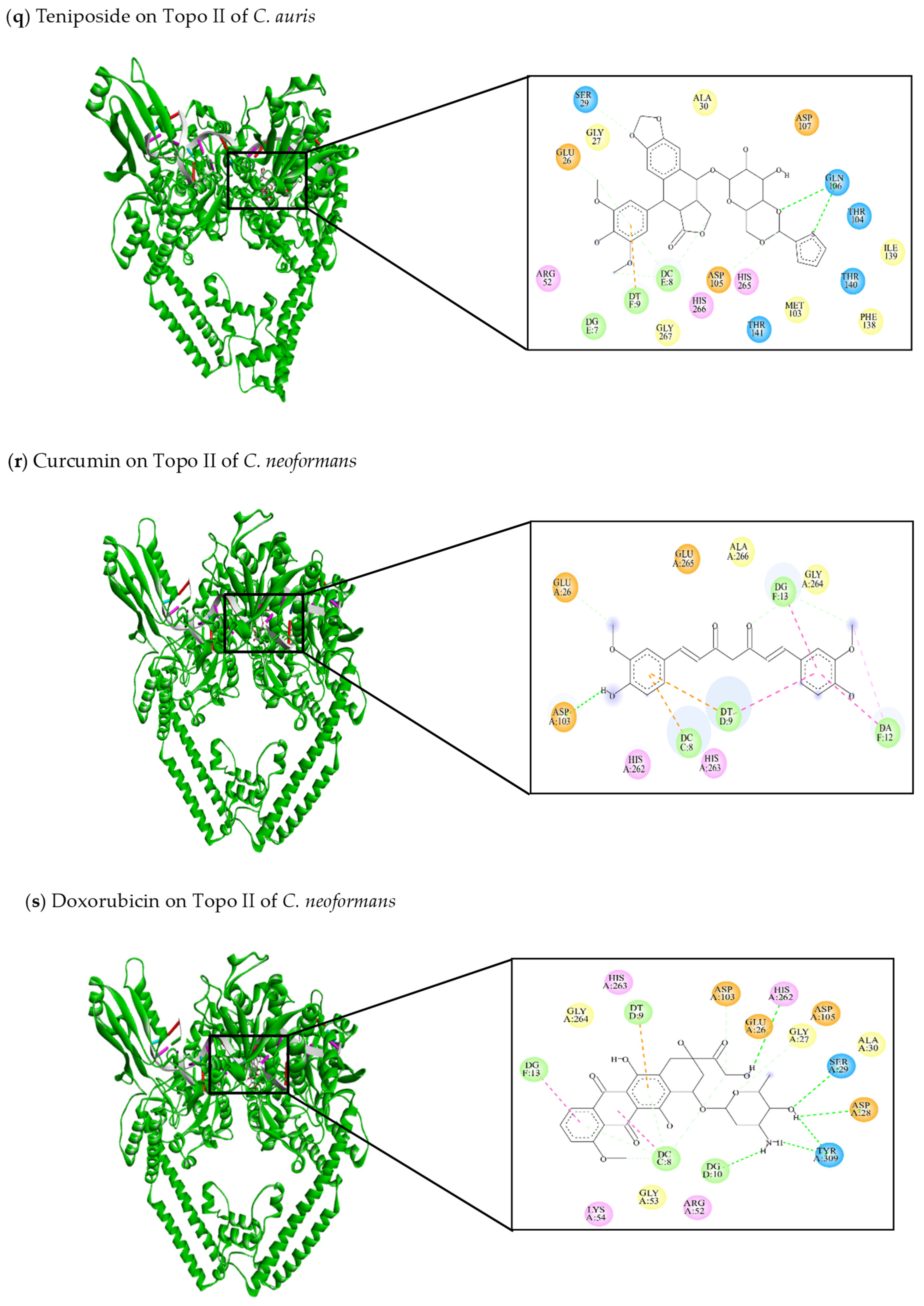 Jof 10 00629 g008g Jof 10 00629 g008g