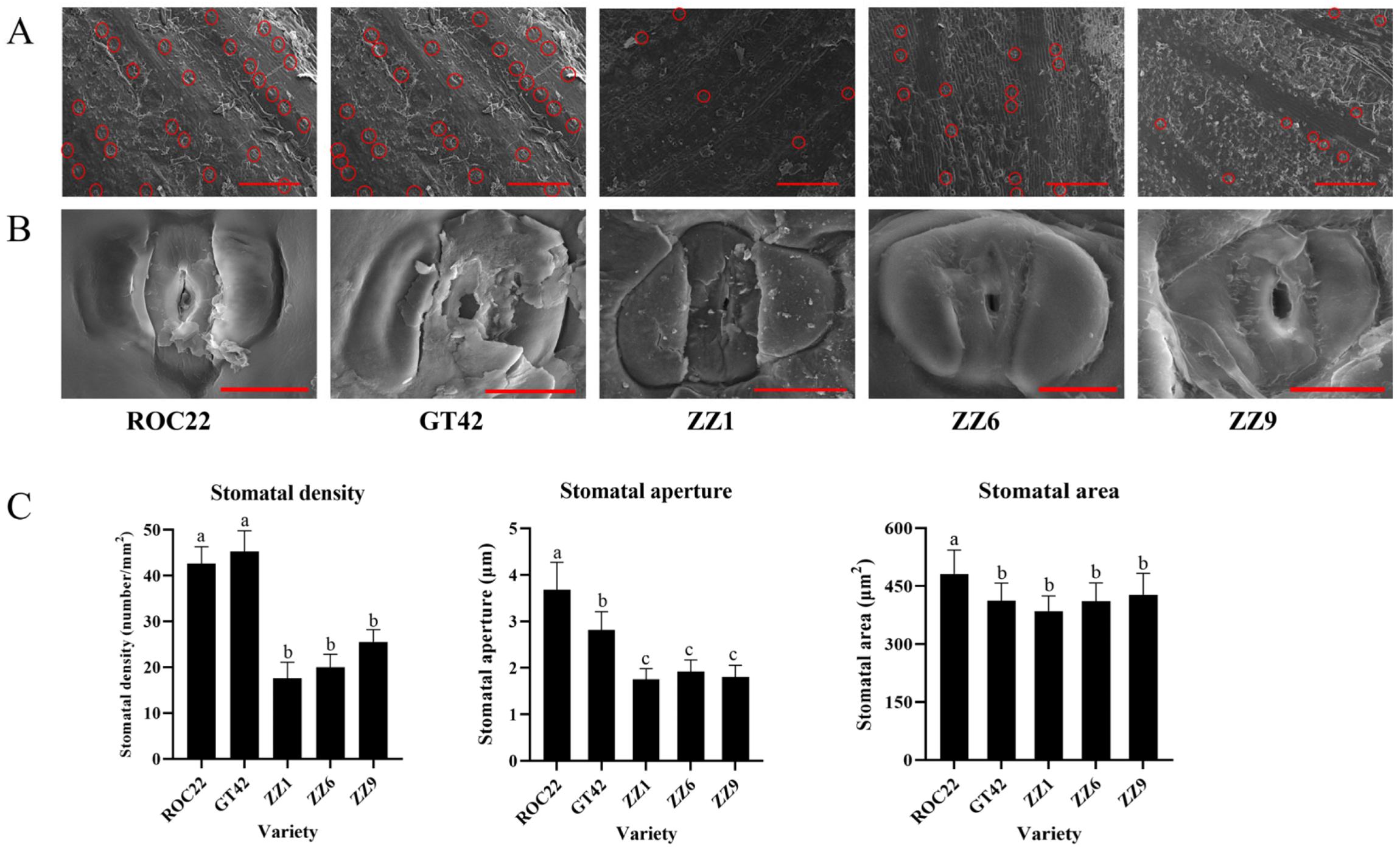 Jof 10 00631 g002 Jof 10 00631 g002