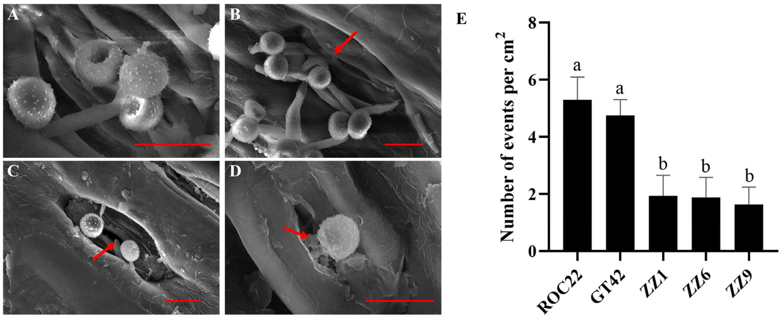 Jof 10 00631 g003 Jof 10 00631 g003