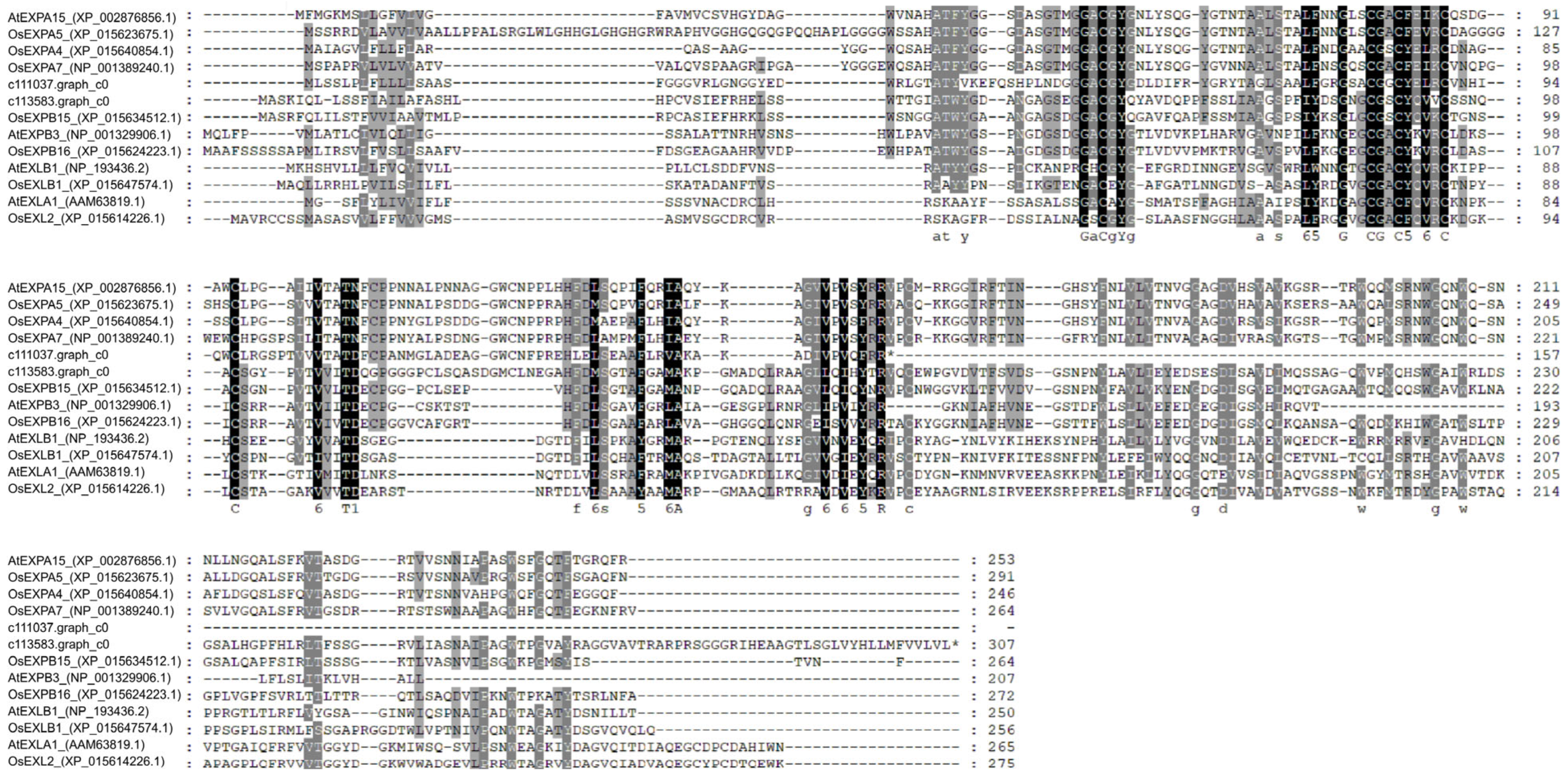 Jof 10 00631 g005 Jof 10 00631 g005