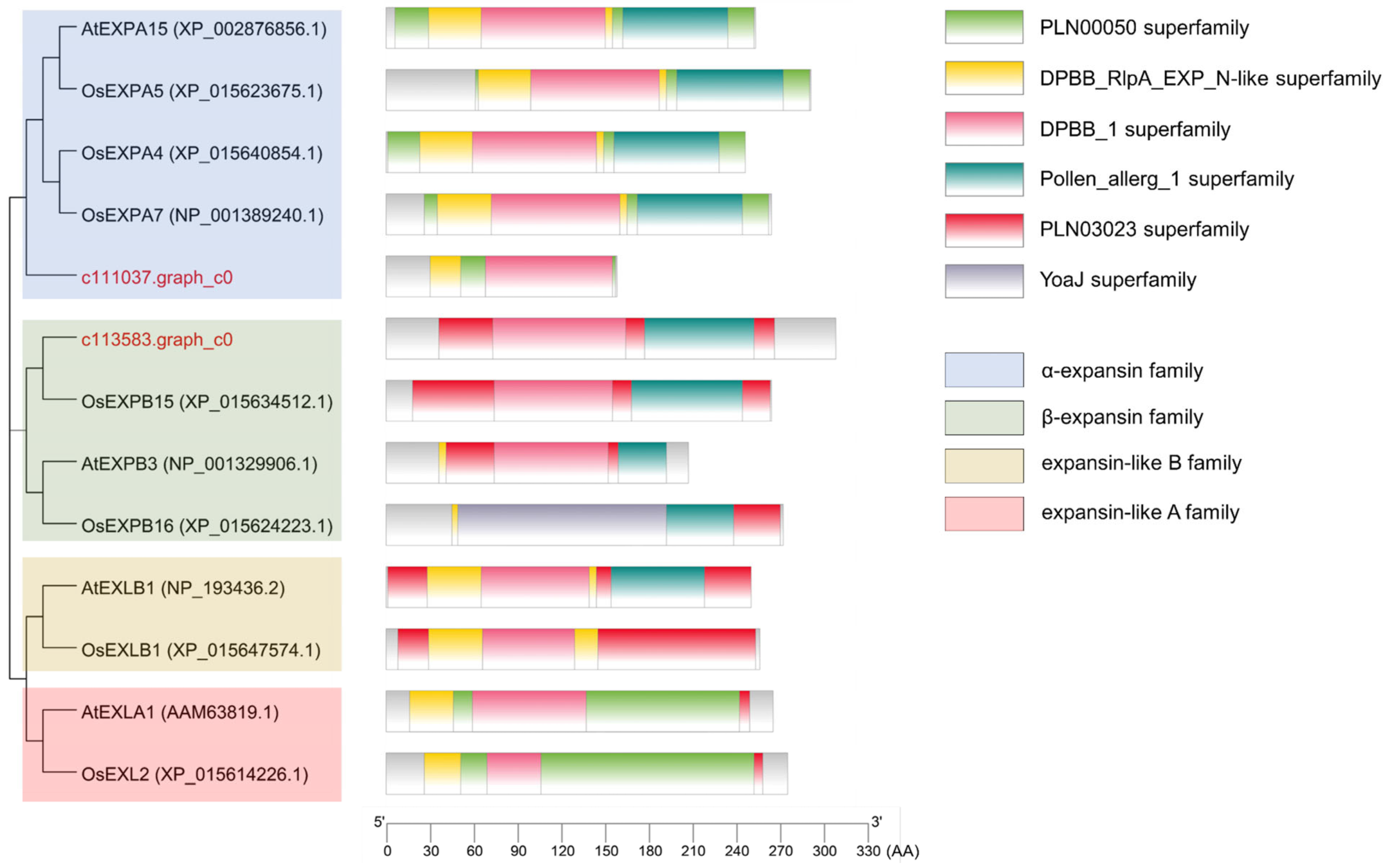 Jof 10 00631 g006 Jof 10 00631 g006