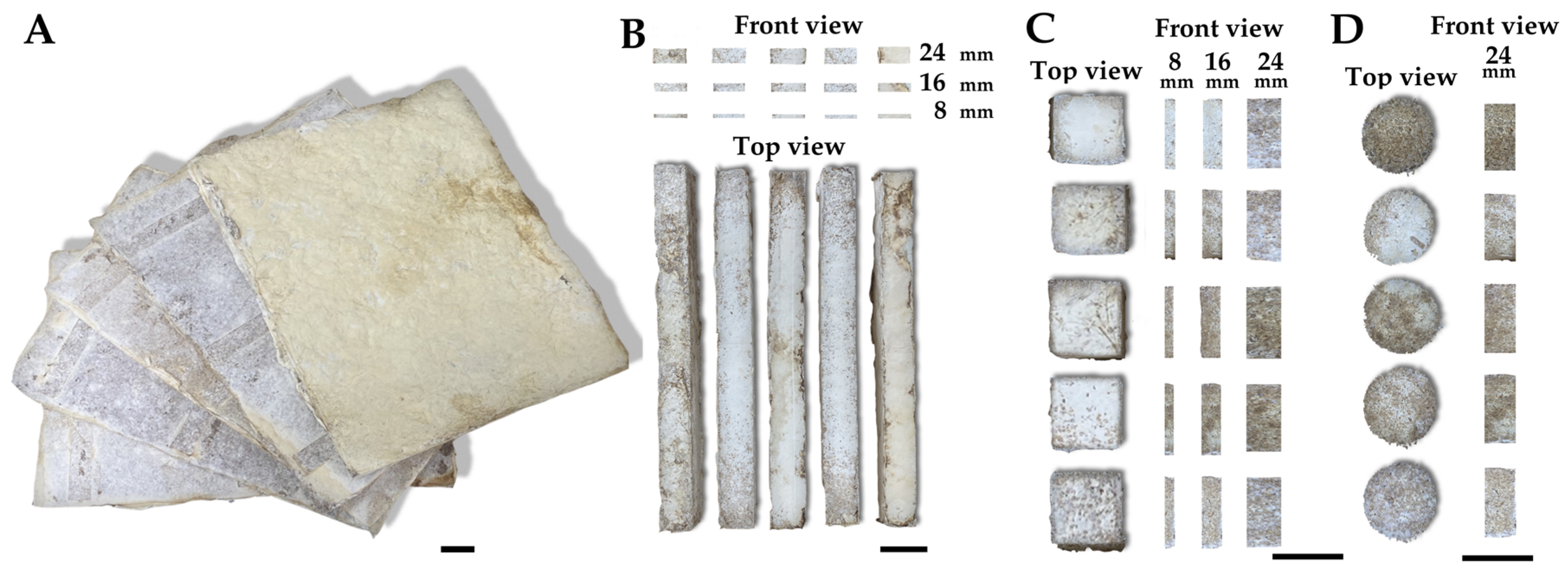 Jof 10 00634 g002 Jof 10 00634 g002