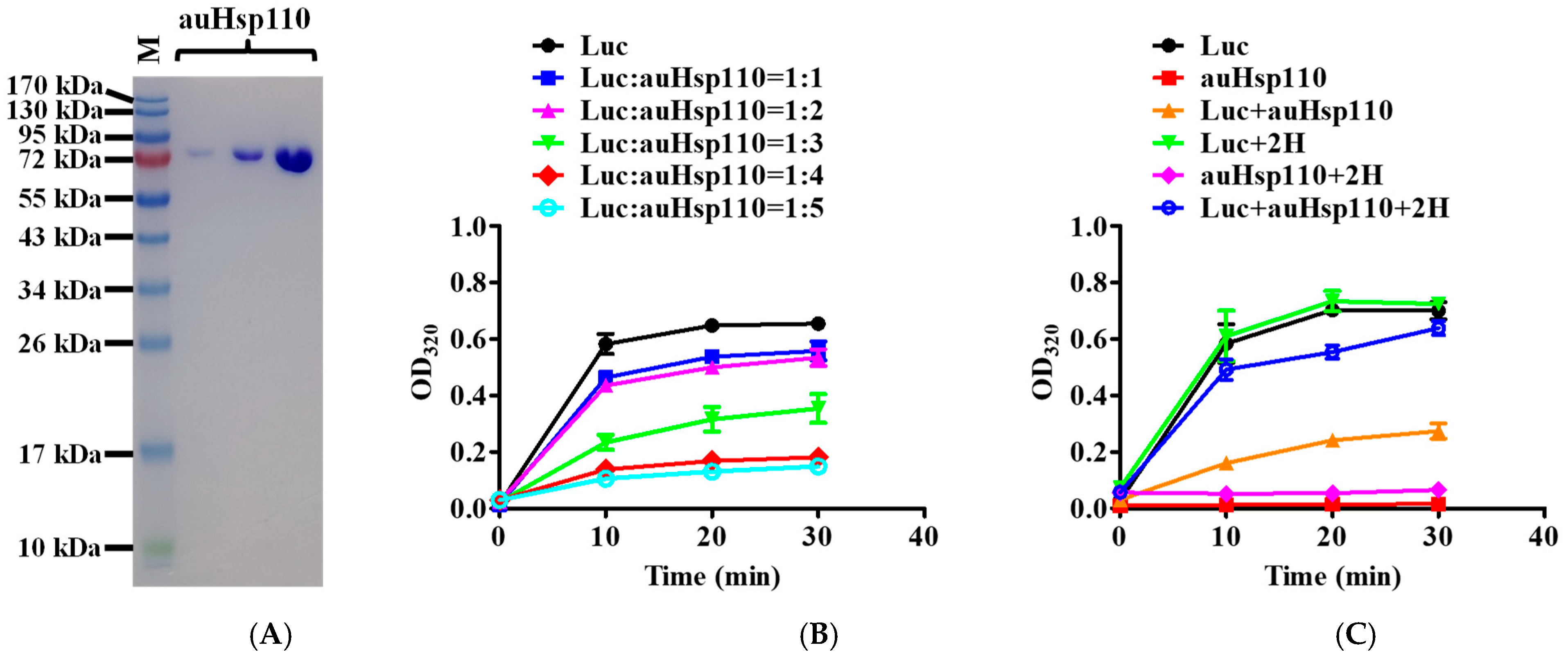 Jof 10 00732 g002 Jof 10 00732 g002
