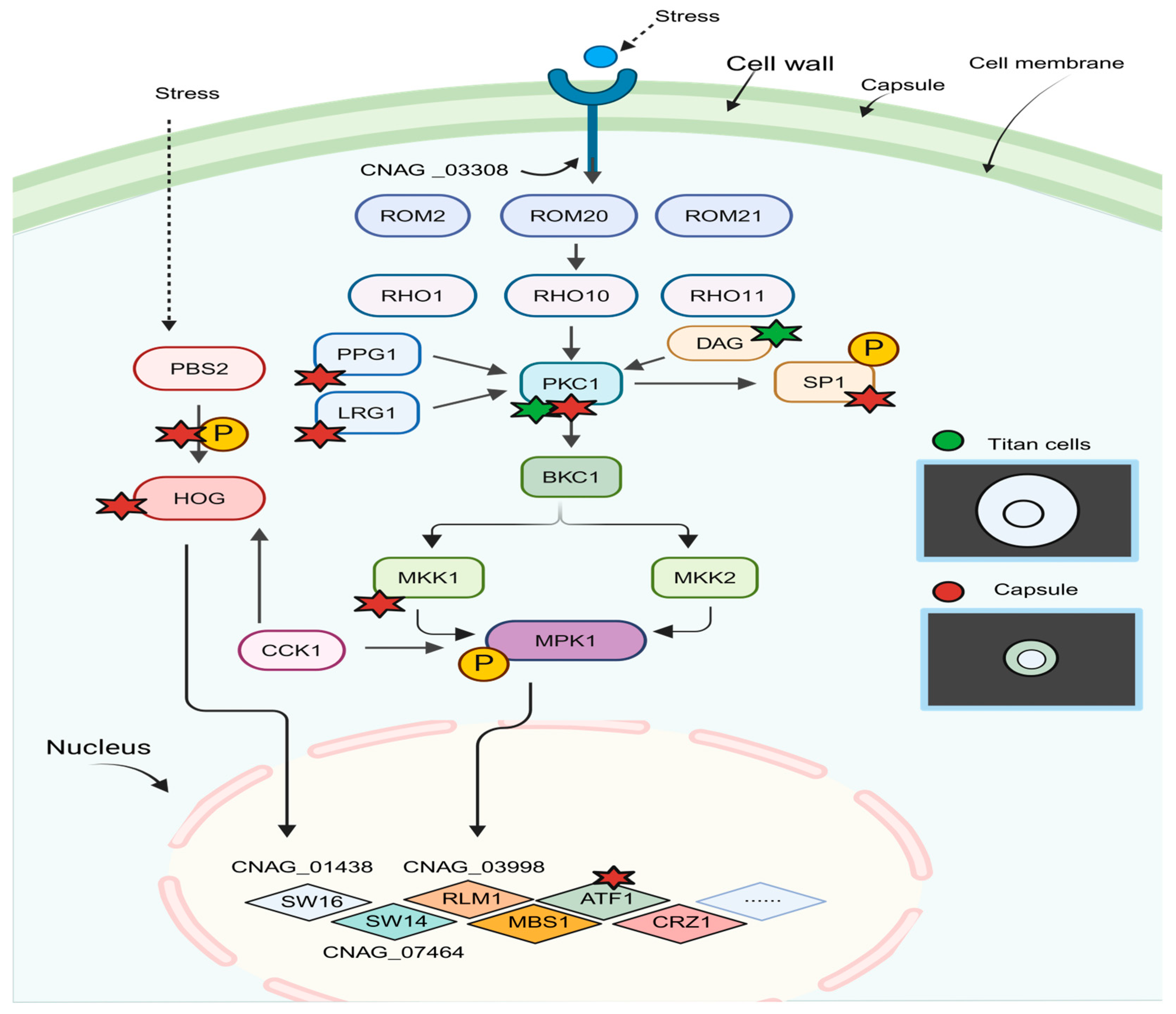 Jof 10 00786 g003 Jof 10 00786 g003