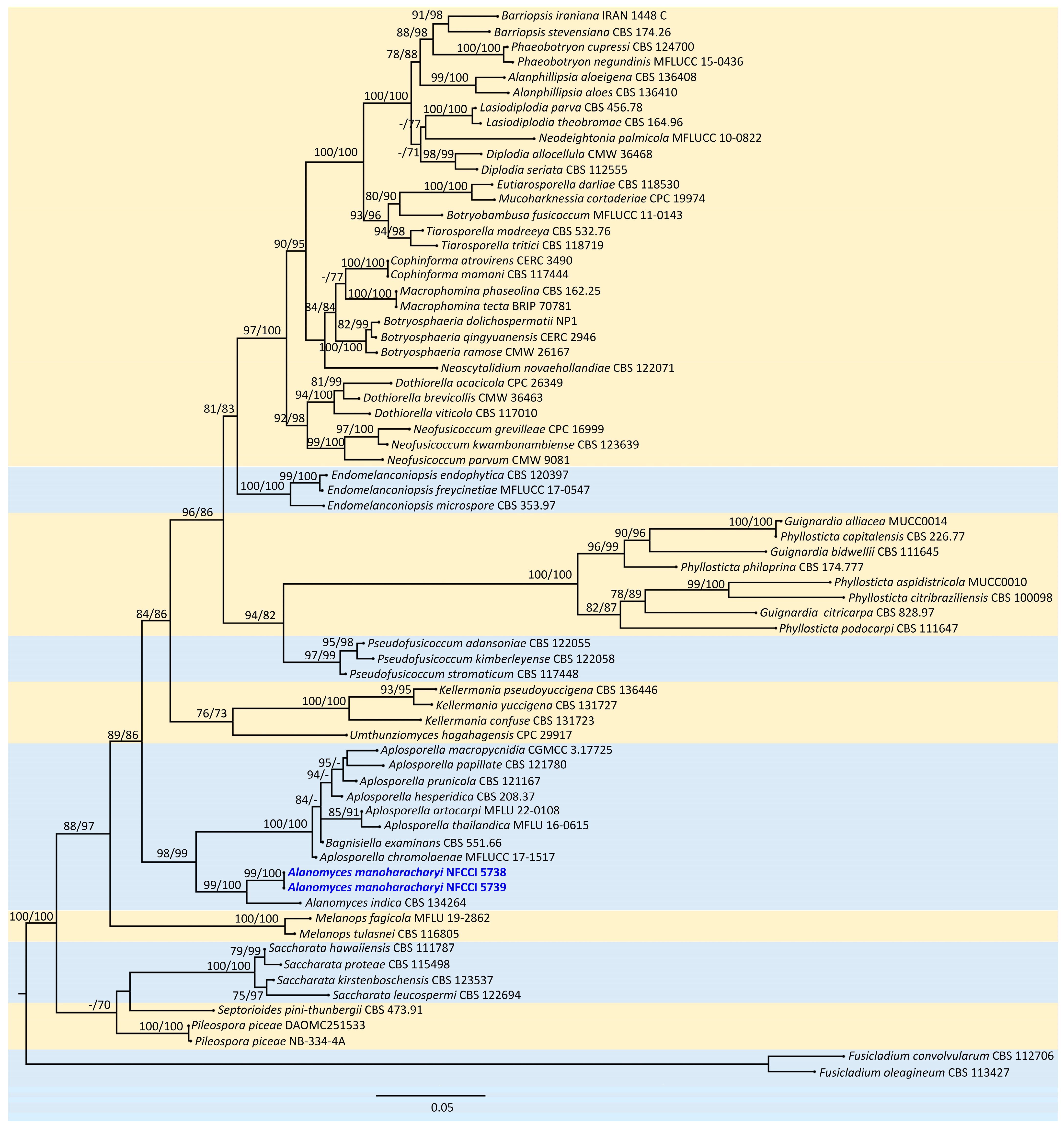 Jof 10 00791 g001 Jof 10 00791 g001