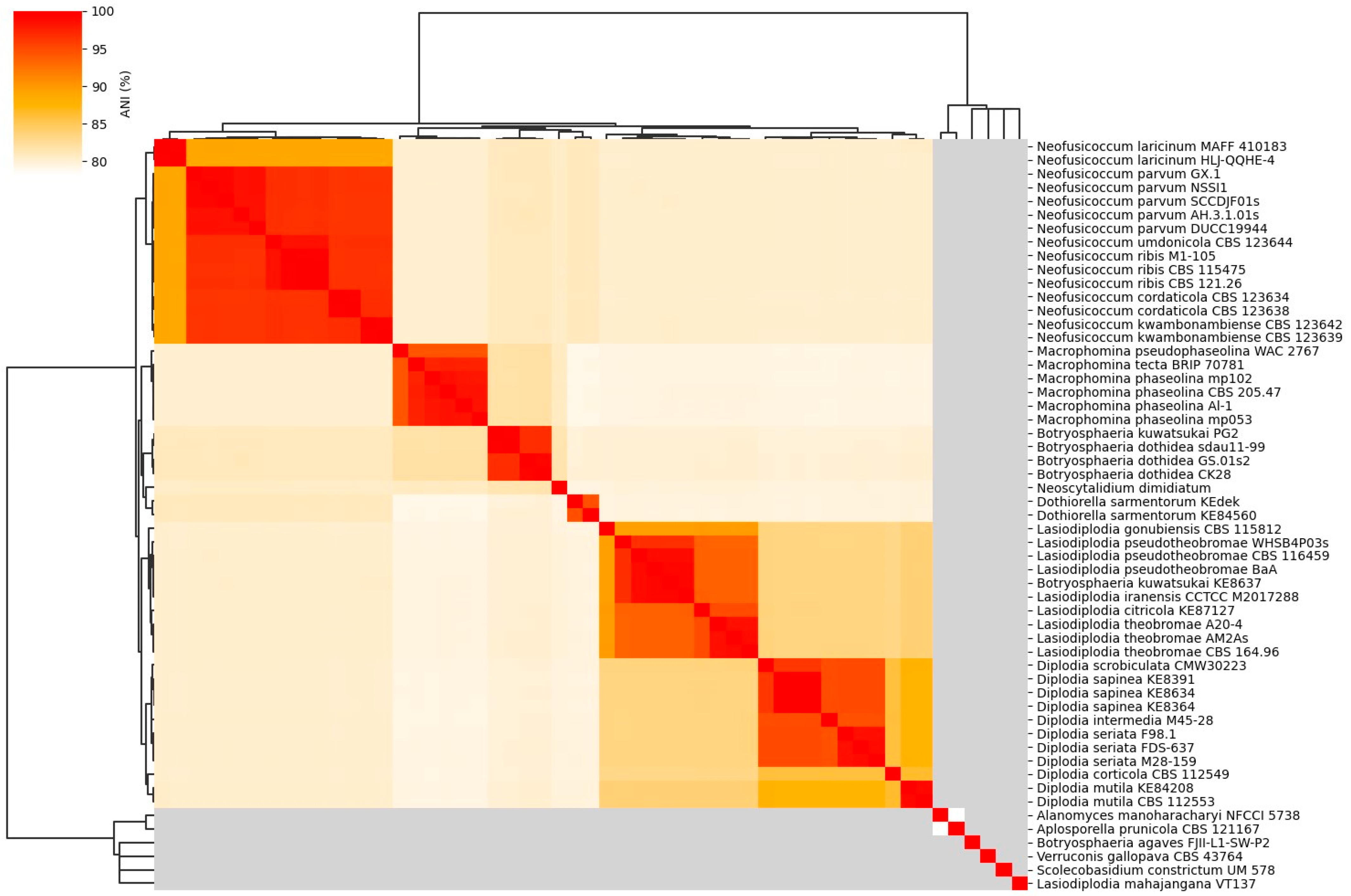 Jof 10 00791 g012 Jof 10 00791 g012