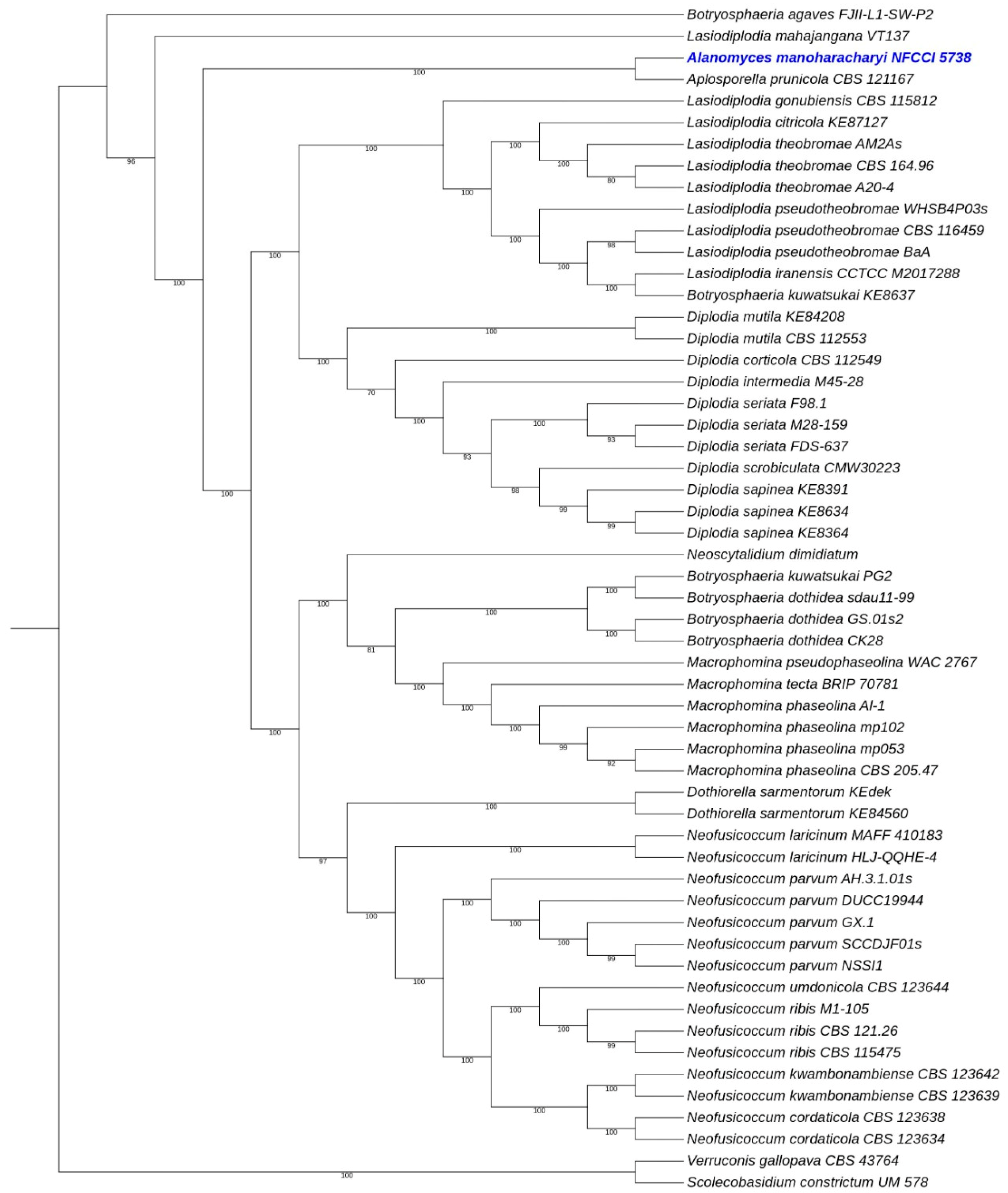 Jof 10 00791 g013 Jof 10 00791 g013