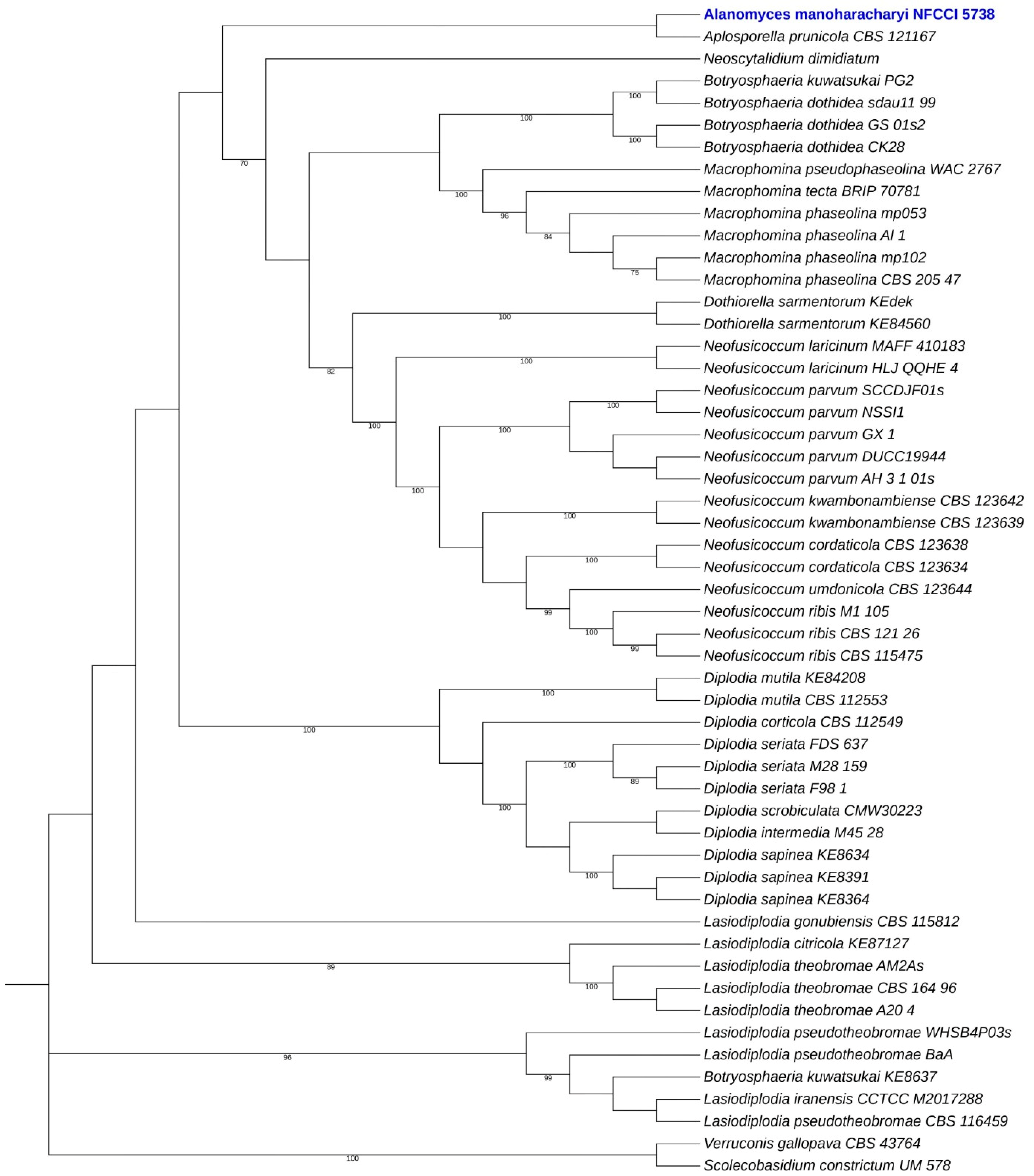 Jof 10 00791 g014 Jof 10 00791 g014