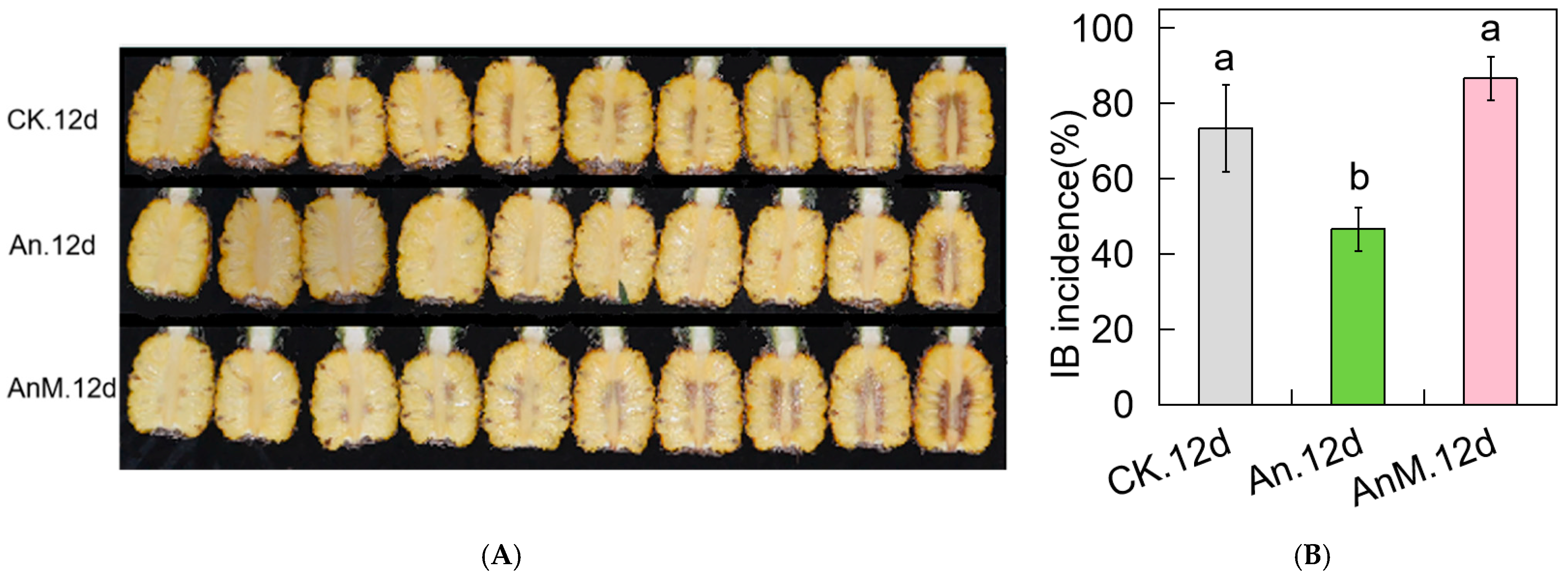 Jof 10 00794 g003a Jof 10 00794 g003a