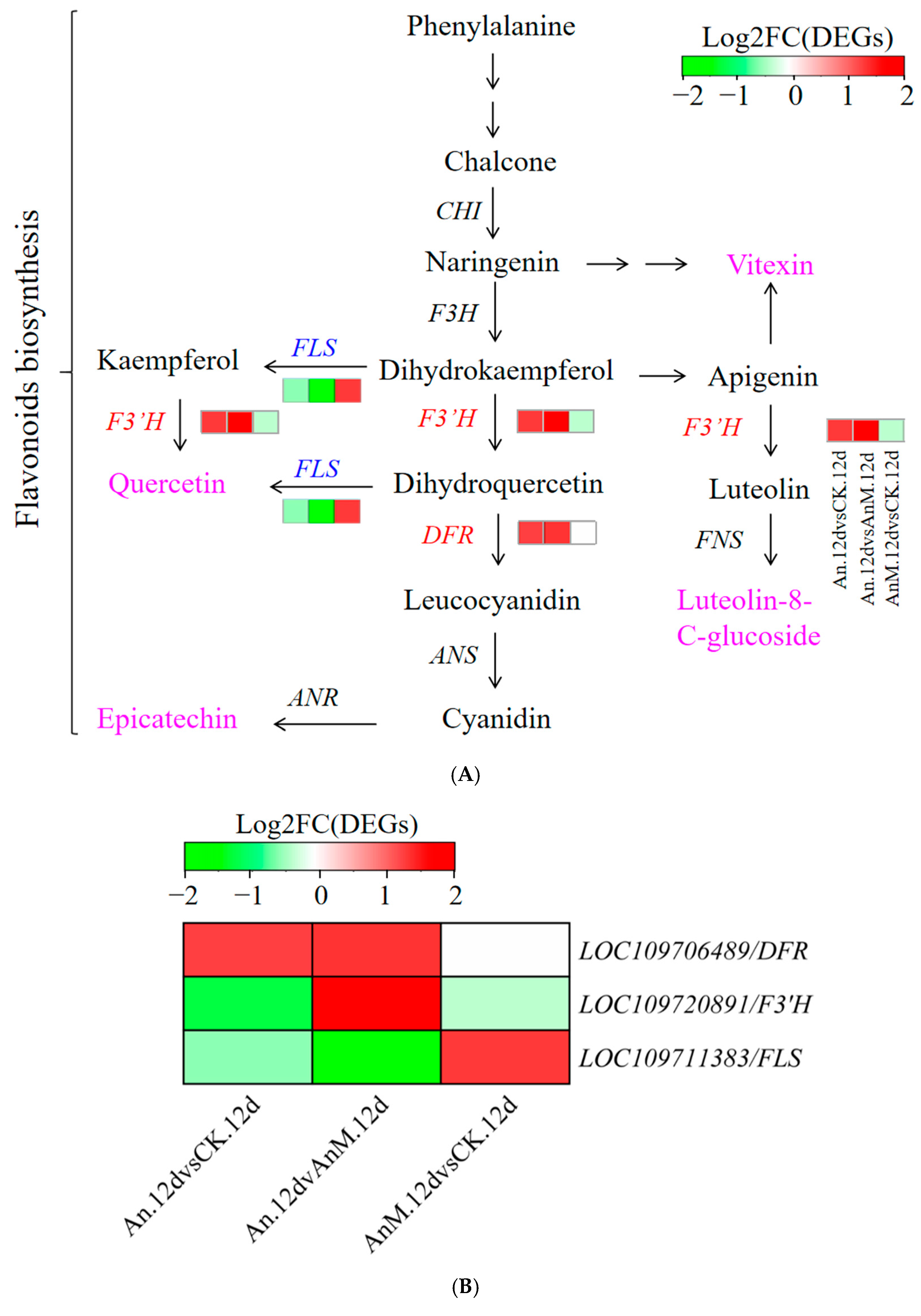 Jof 10 00794 g004 Jof 10 00794 g004